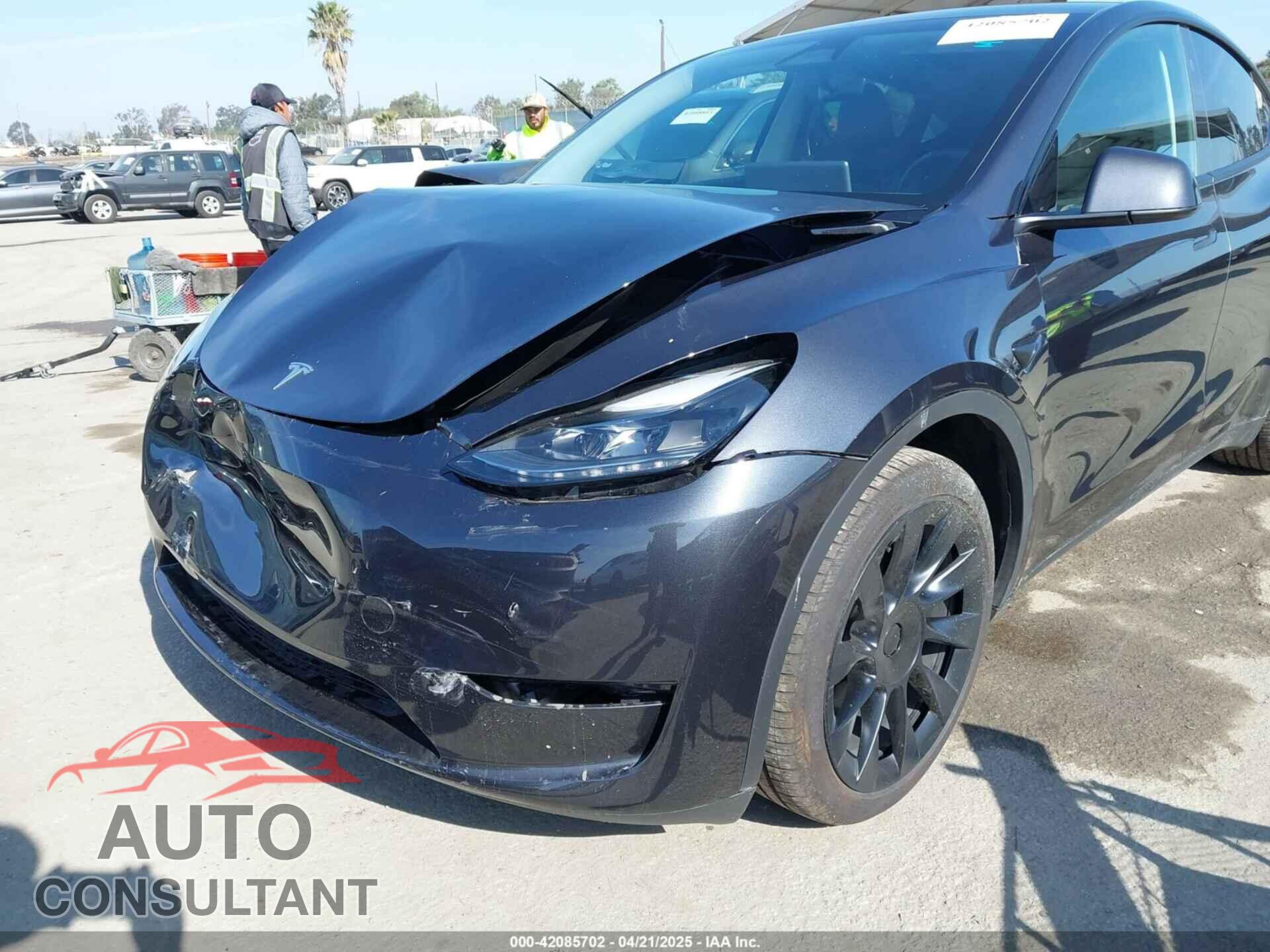 TESLA MODEL Y 2024 - 7SAYGDEEXRF146109