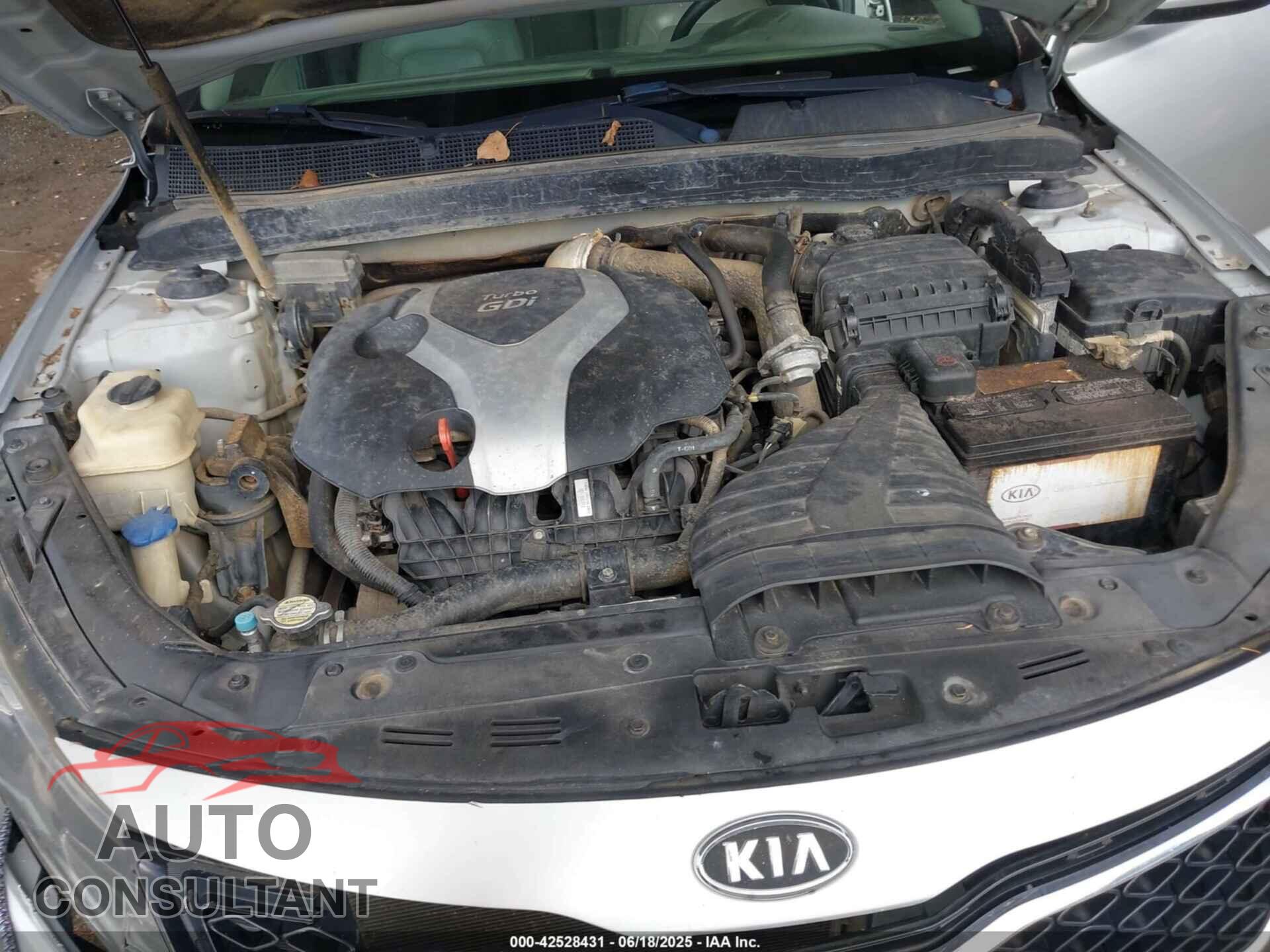 KIA OPTIMA 2011 - KNAGN4A61B5095407
