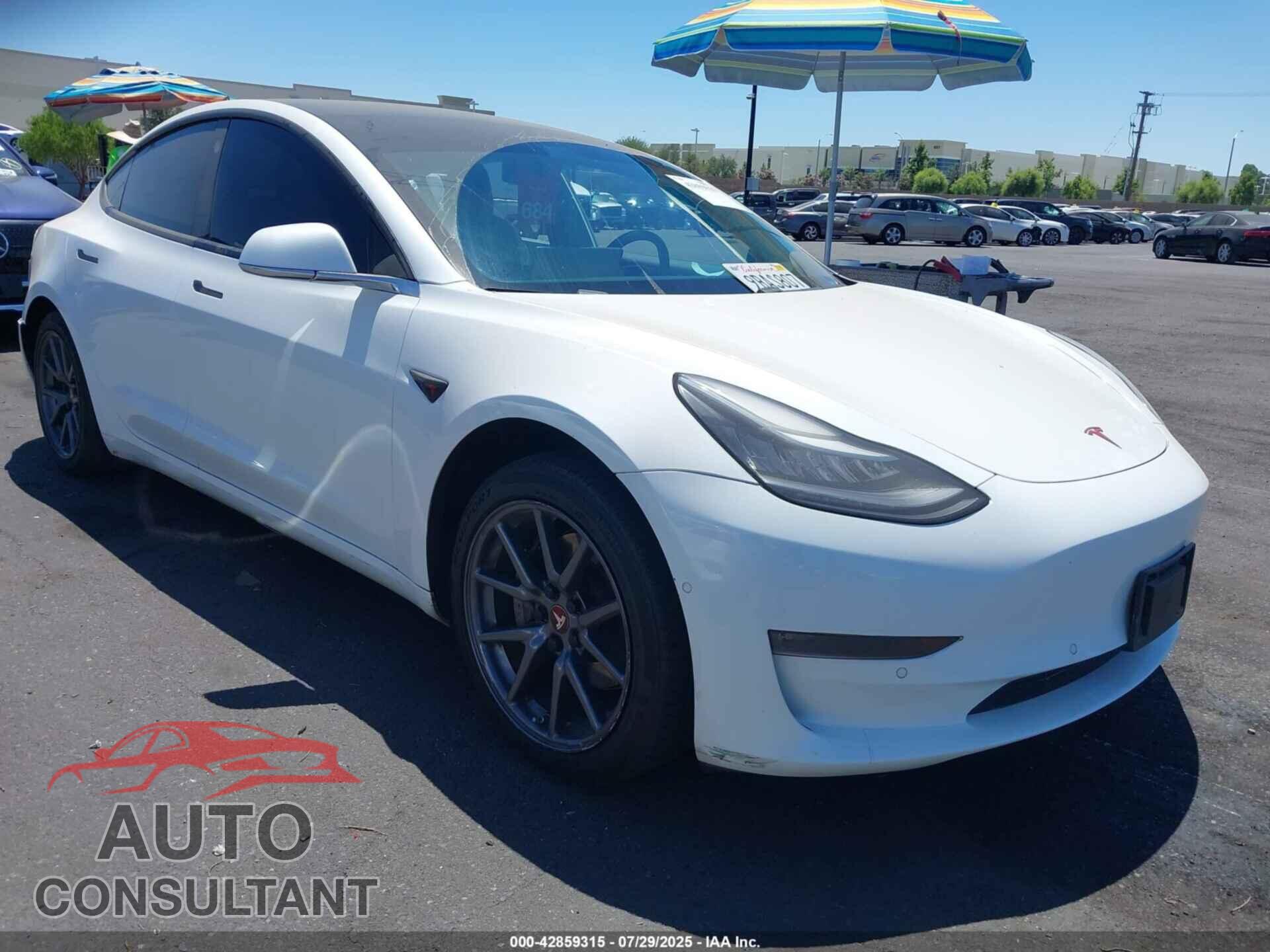 TESLA MODEL 3 2019 - 5YJ3E1EB3KF365176