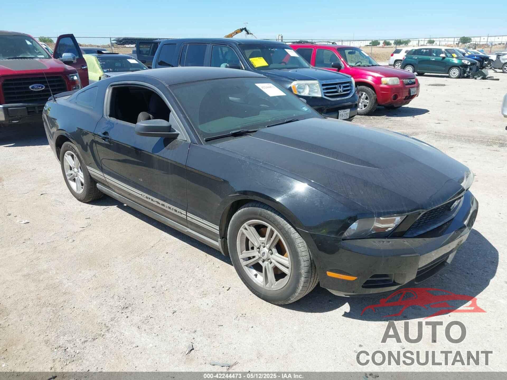 FORD MUSTANG 2012 - 1ZVBP8AMXC5262021