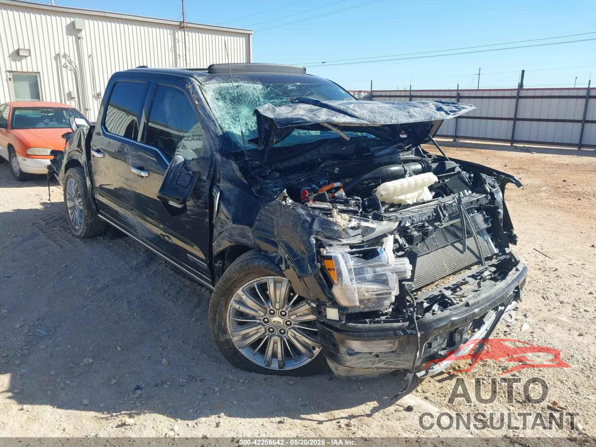 FORD F-150 2024 - 1FTFW7LD9RFB84896
