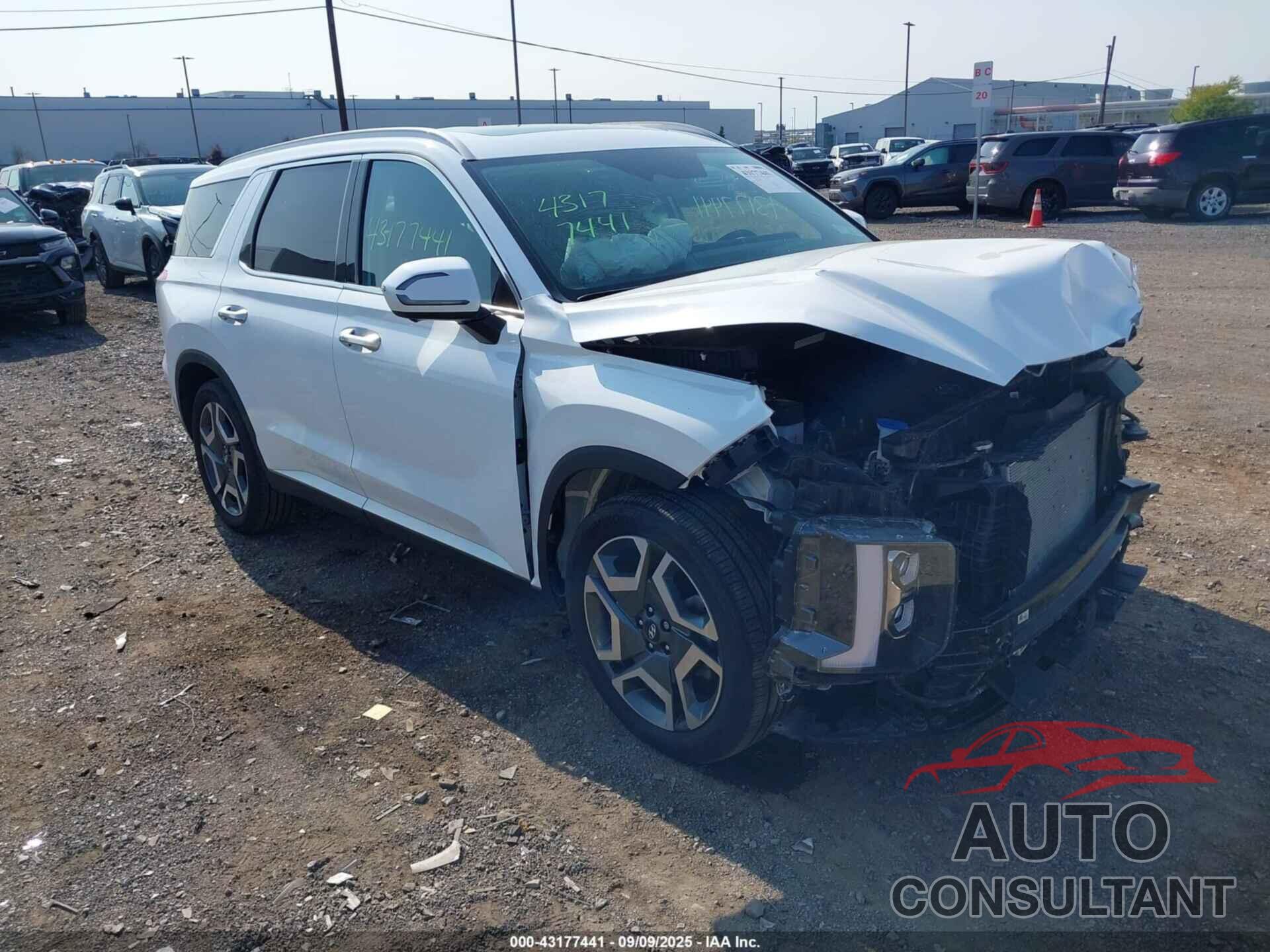 HYUNDAI PALISADE 2025 - KM8R4DGE9SU861205