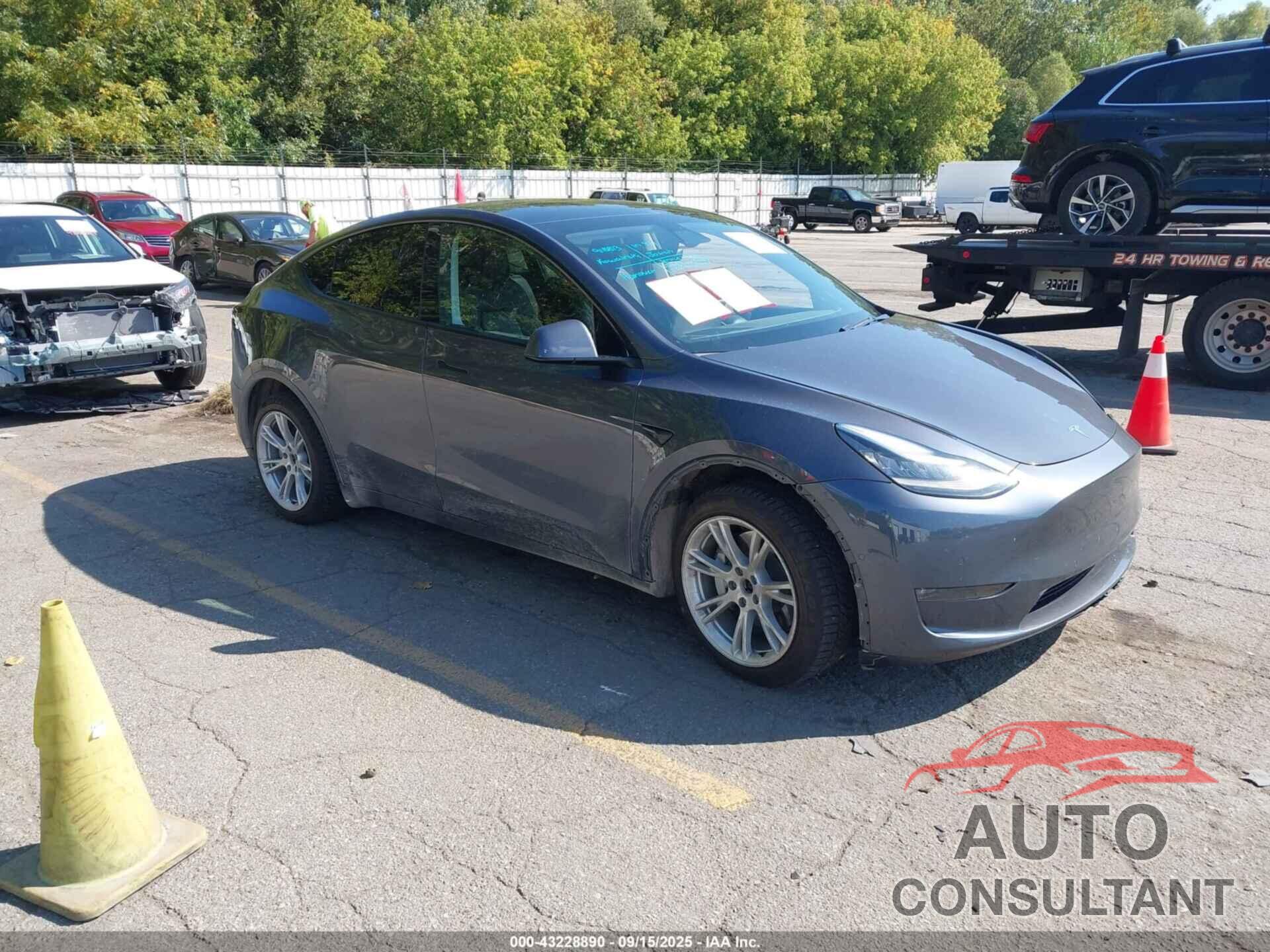 TESLA MODEL Y 2020 - 5YJYGDEE7LF016339