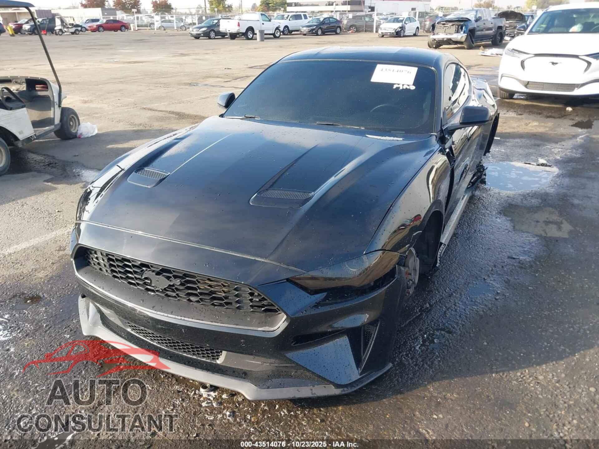FORD MUSTANG 2019 - 1FA6P8TH4K5106274