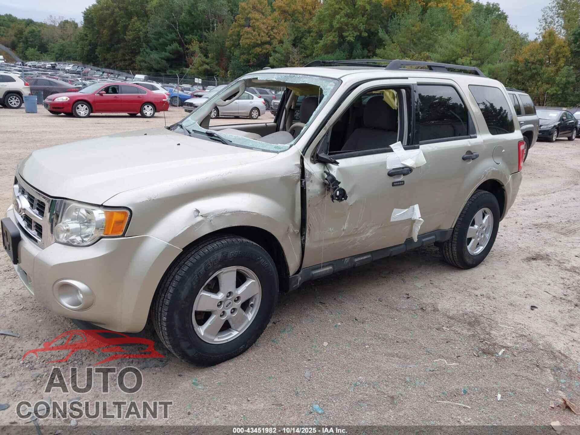 FORD ESCAPE 2010 - 1FMCU0D71AKA69385