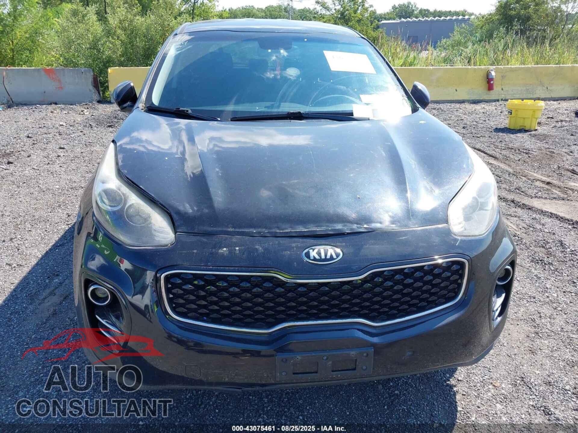 KIA SPORTAGE 2017 - KNDPMCAC2H7034134