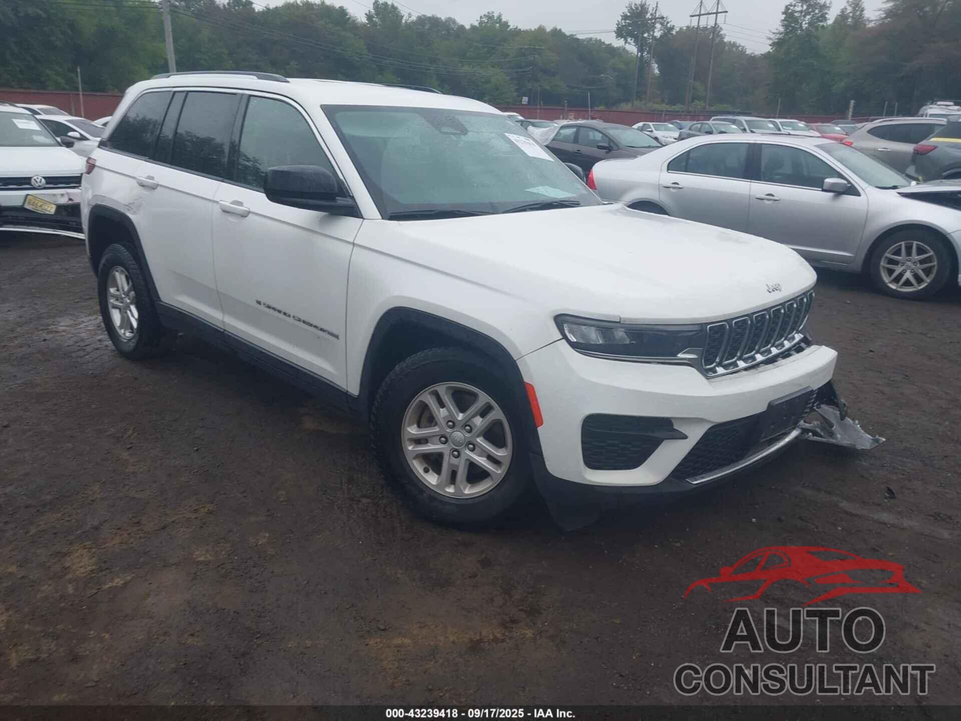 JEEP GRAND CHEROKEE 2023 - 1C4RJHAG9PC548456