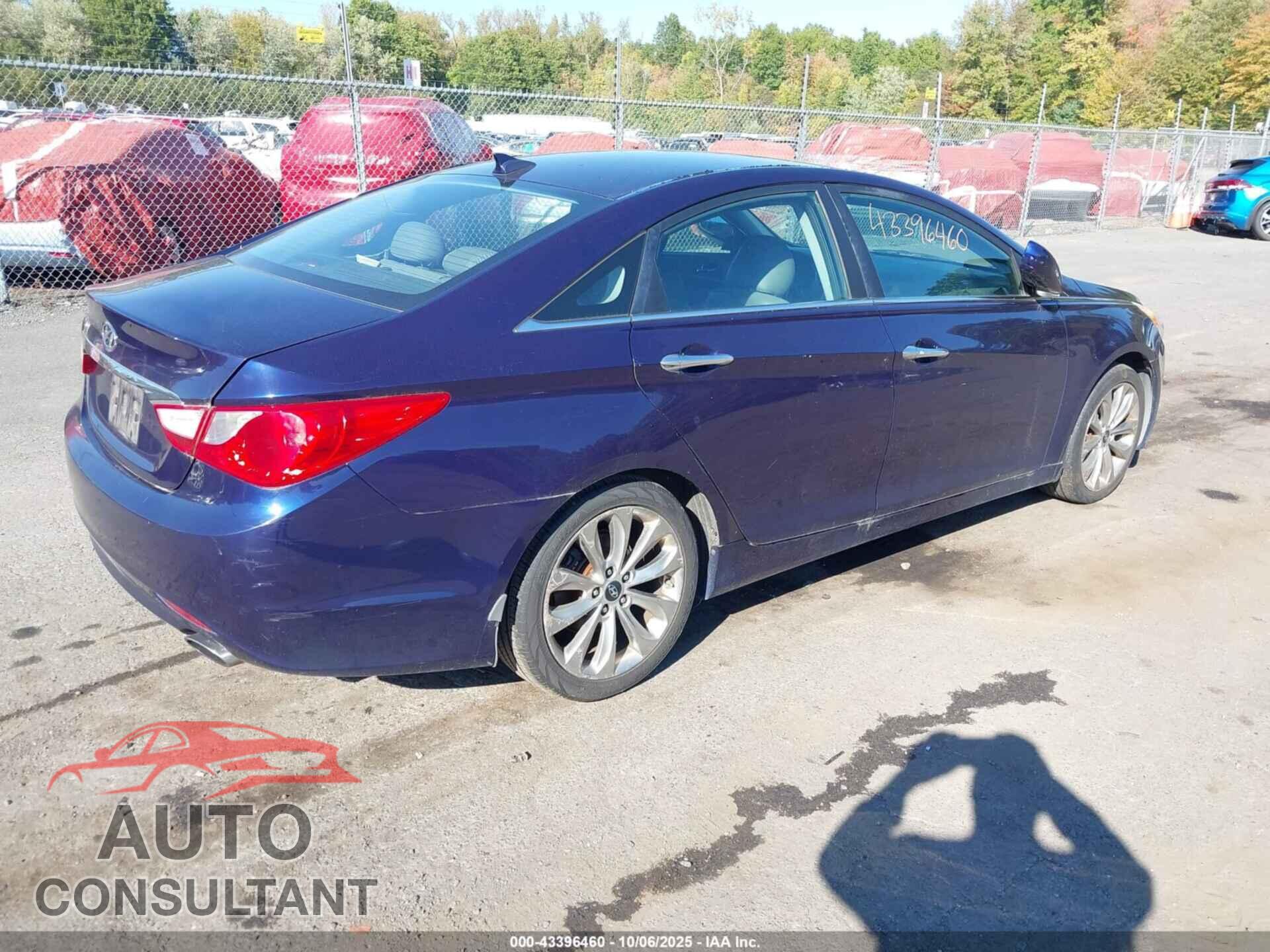 HYUNDAI SONATA 2013 - 5NPEC4AC3DH604034