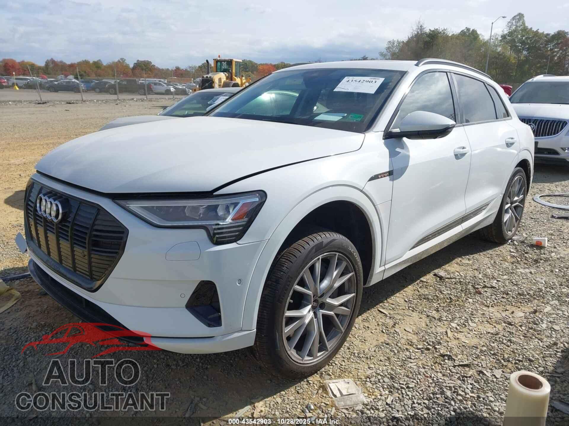 AUDI E-TRON 2021 - WA1VAAGE8MB038896