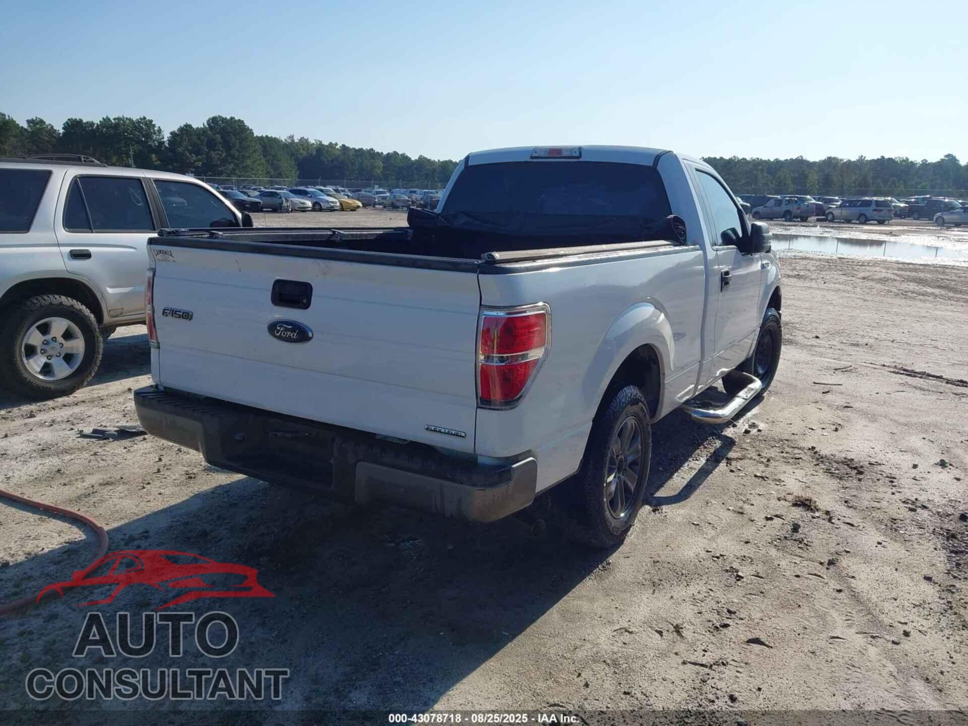 FORD F-150 2013 - 1FTMF1CM9DFD53117
