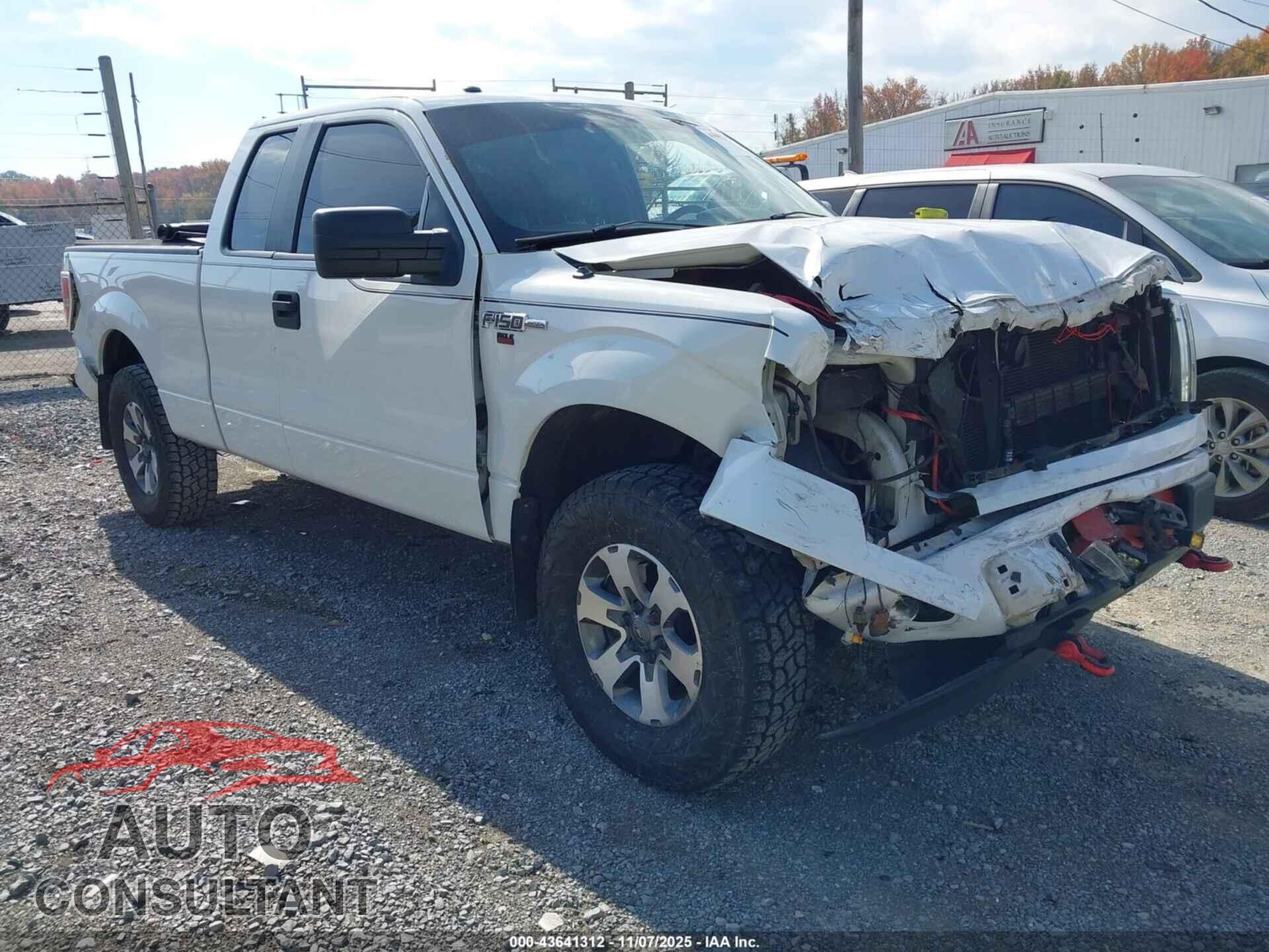 FORD F-150 2013 - 1FTFX1EFXDFD90908