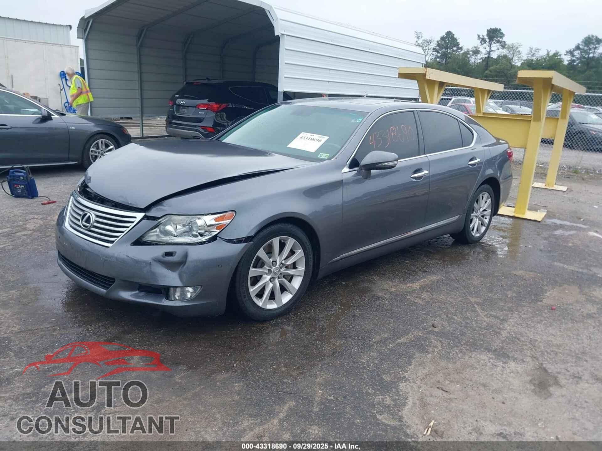 LEXUS LS 460 2012 - JTHCL5EFXC5013102