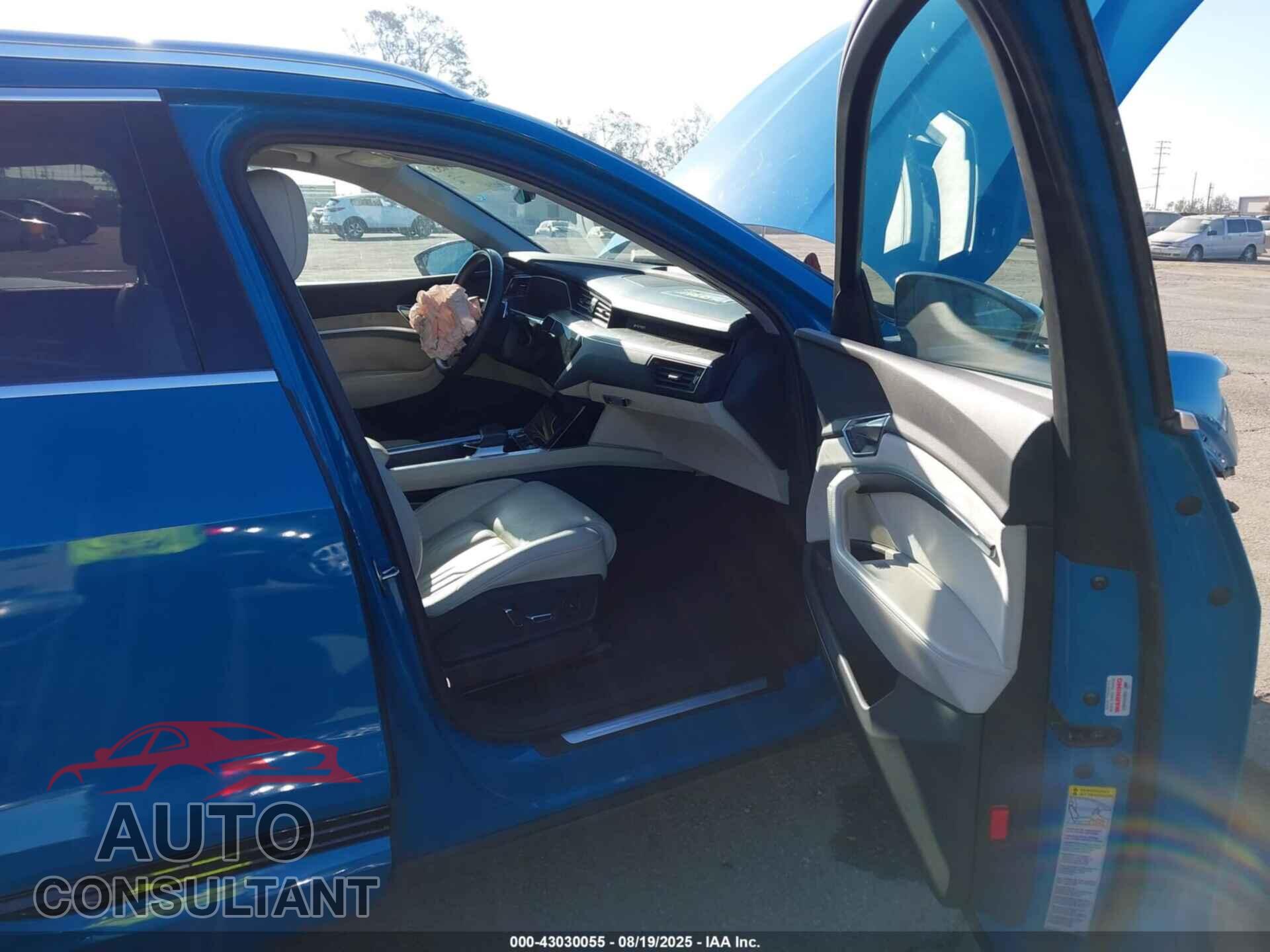 AUDI E-TRON 2019 - WA1VABGEXKB012903