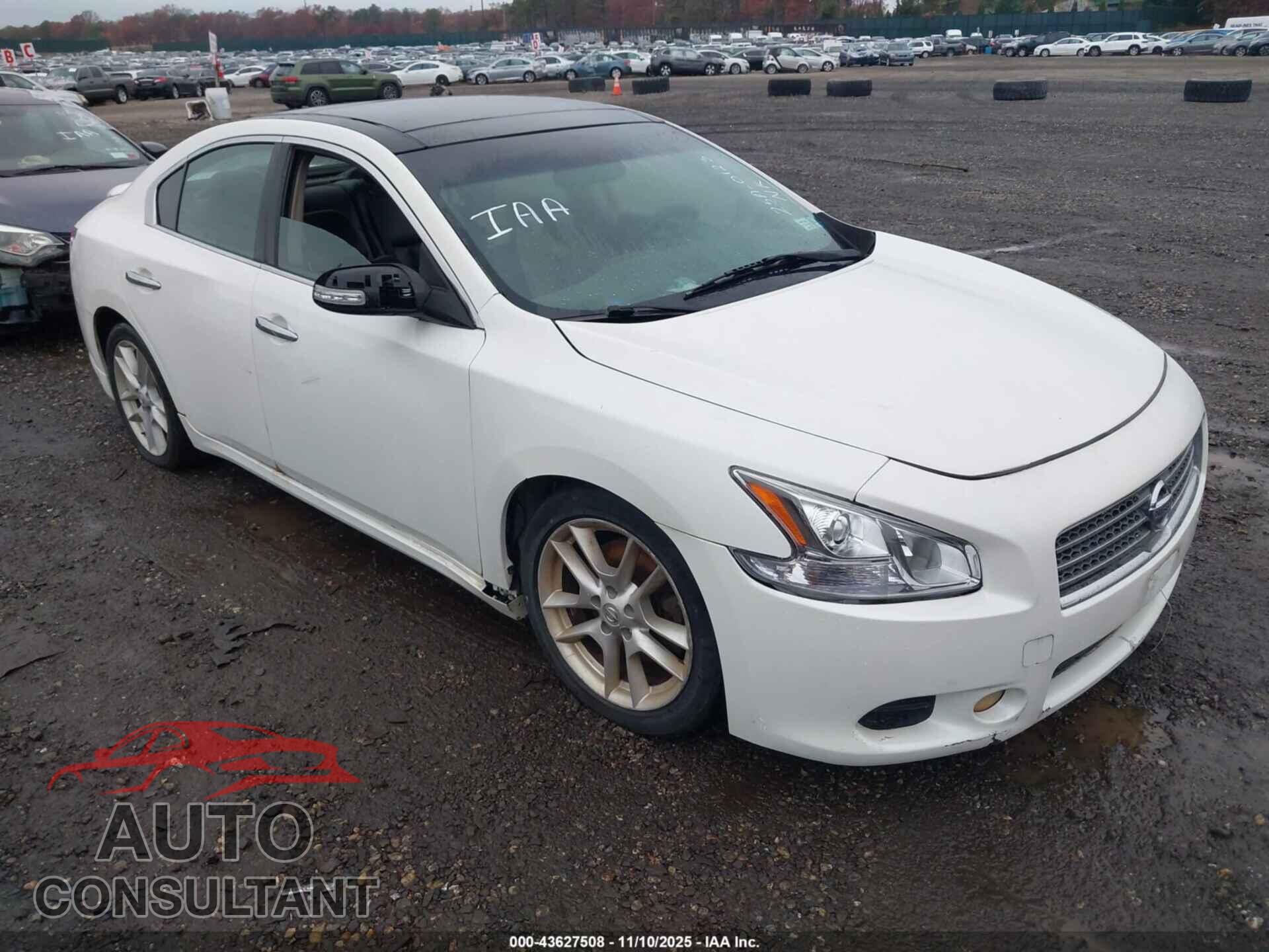 NISSAN MAXIMA 2009 - 1N4AA51E79C849651