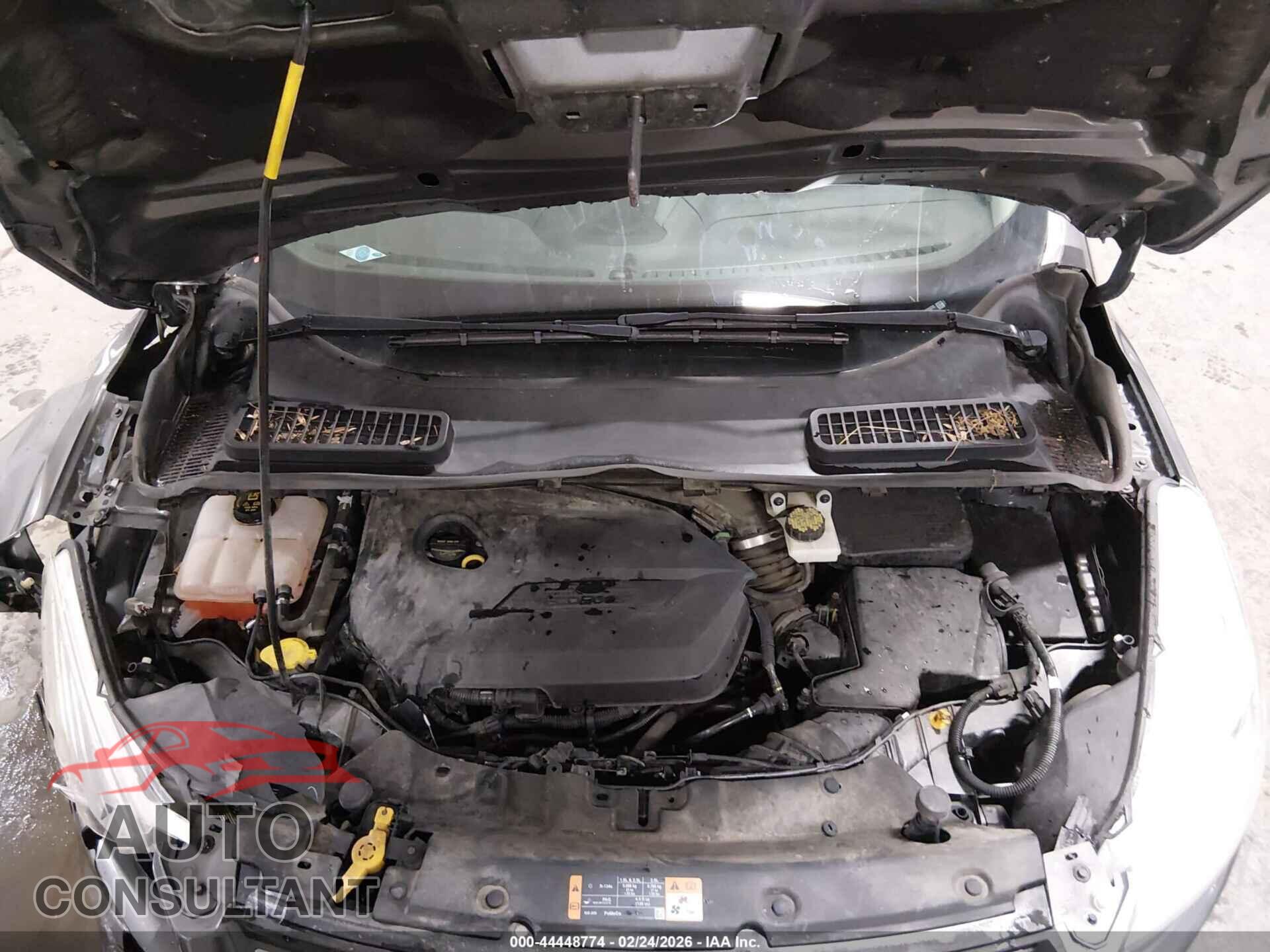 FORD ESCAPE 2014 - 1FMCU0GX6EUC22039