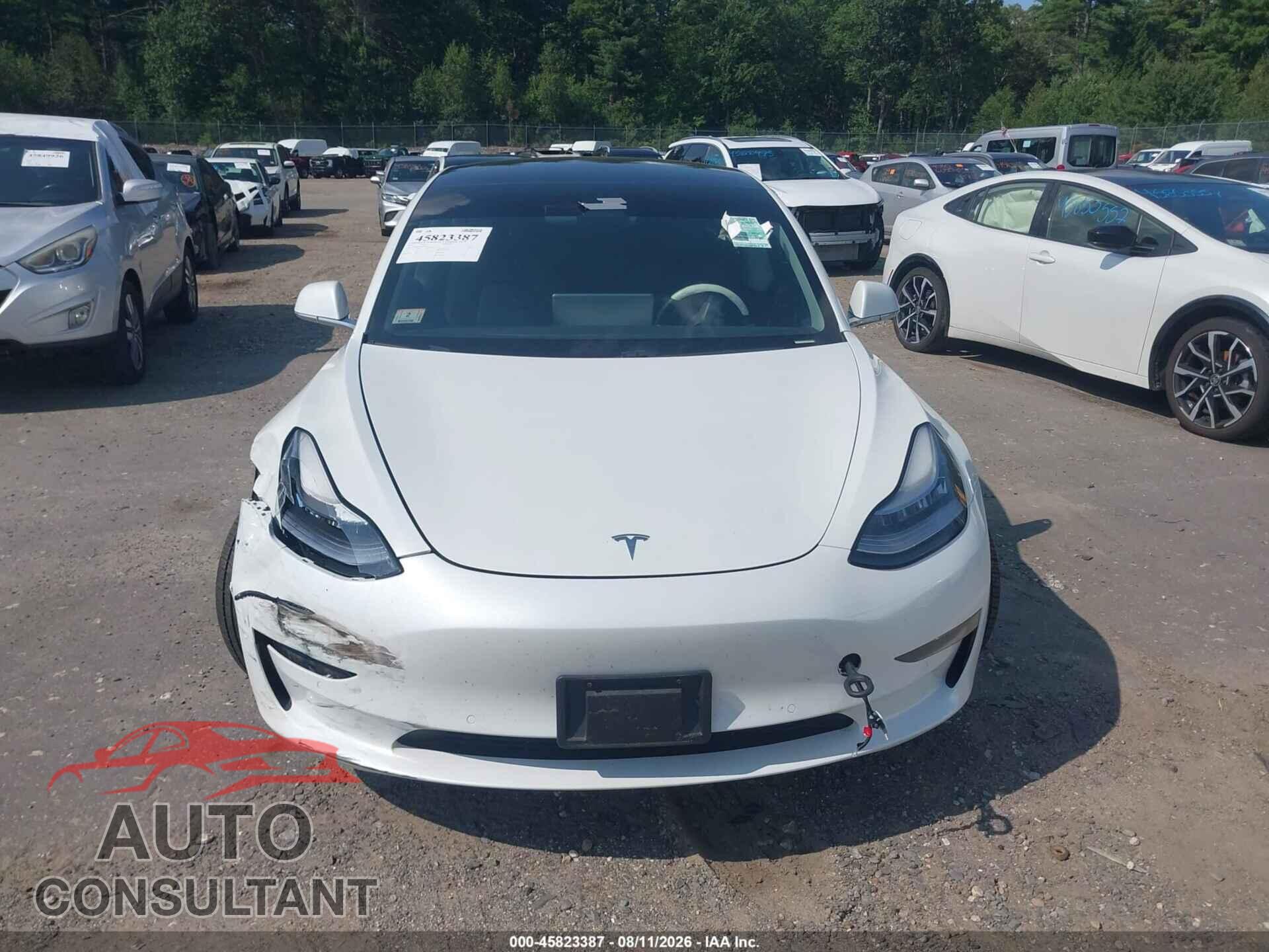 TESLA MODEL 3 2020 - 5YJ3E1EA9LF644835