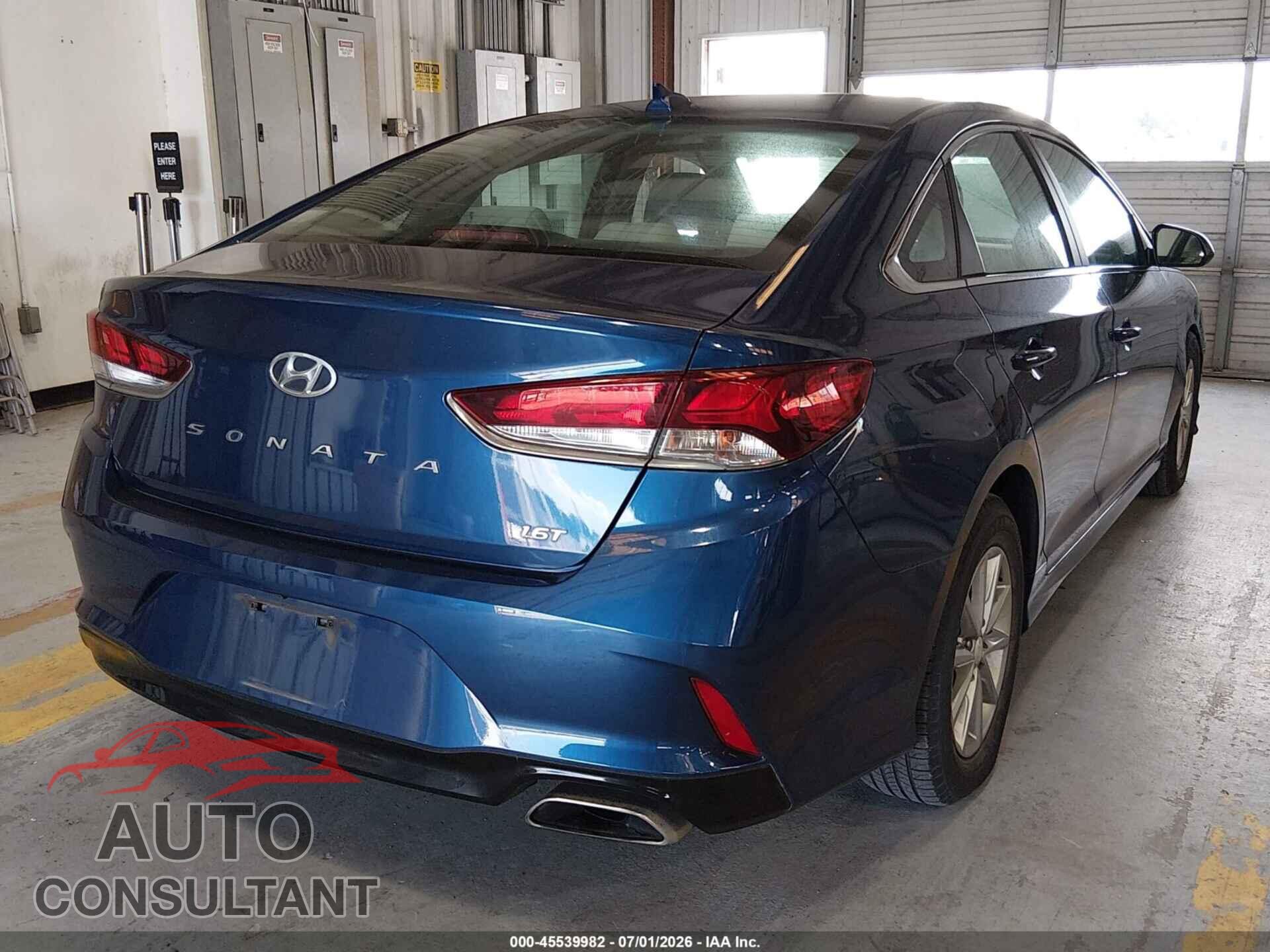 HYUNDAI SONATA 2019 - 5NPE24AA8KH774792