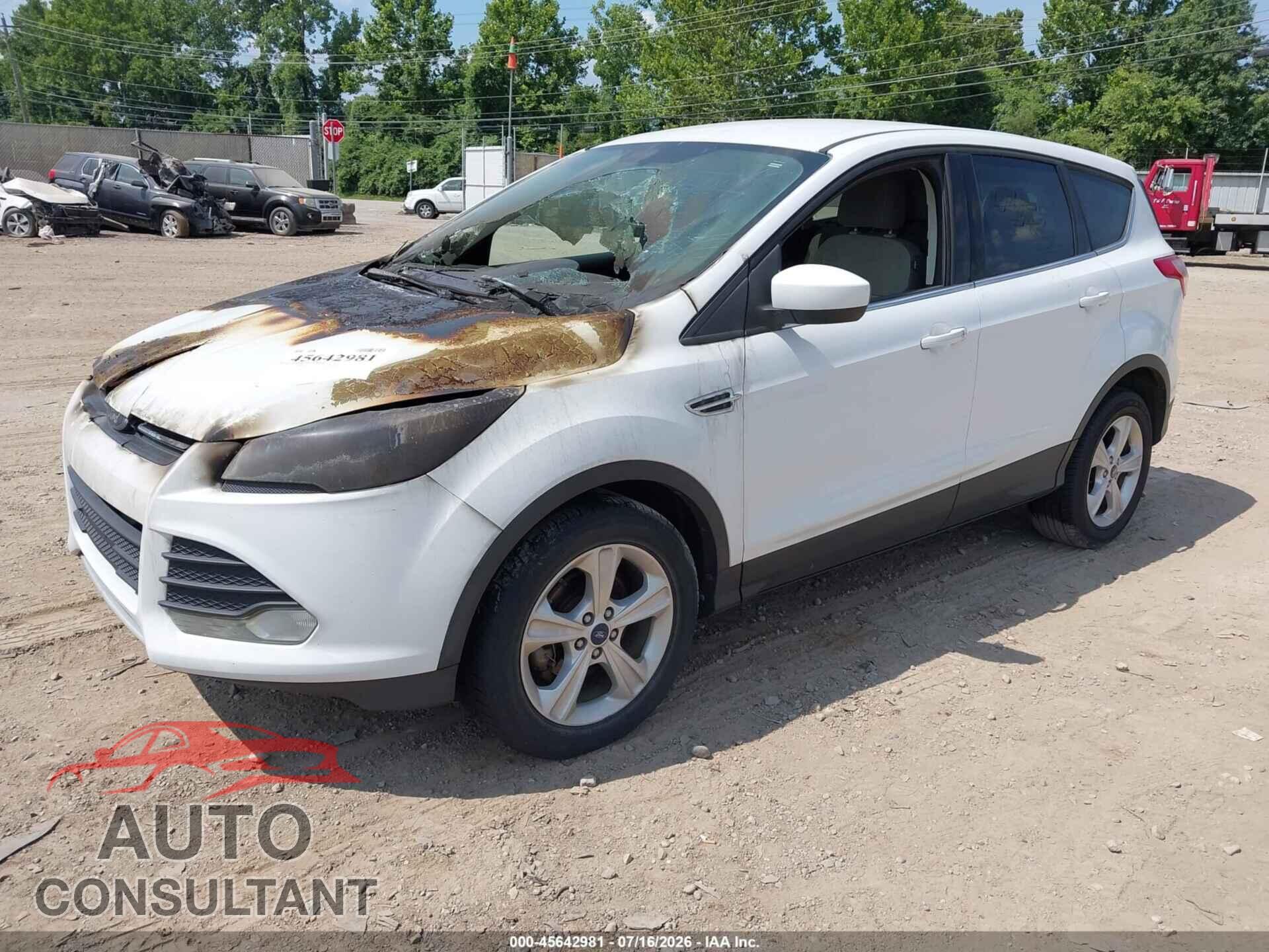 FORD ESCAPE 2013 - 1FMCU0GX7DUA73977