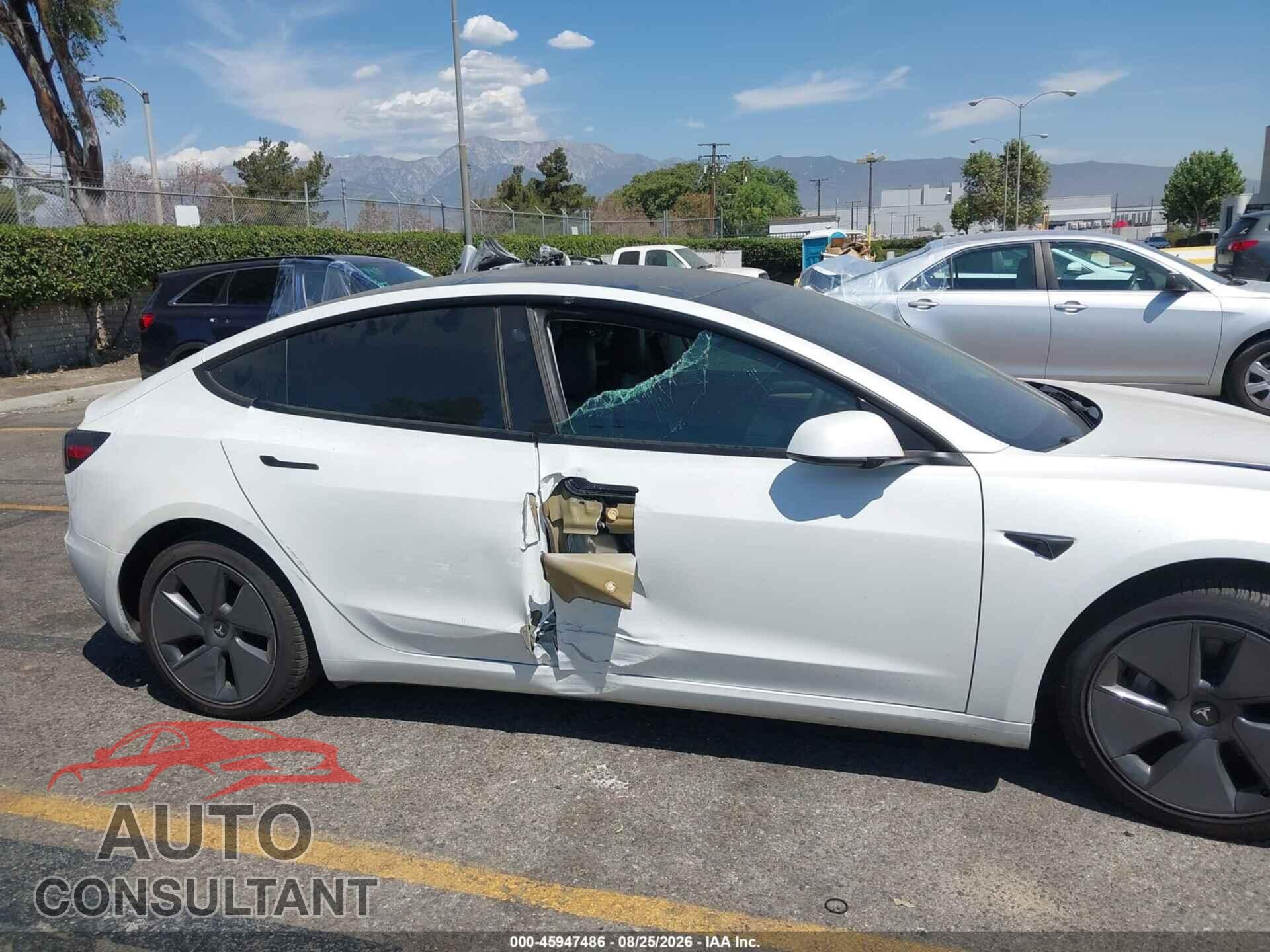 TESLA MODEL 3 2021 - 5YJ3E1EA7MF003524