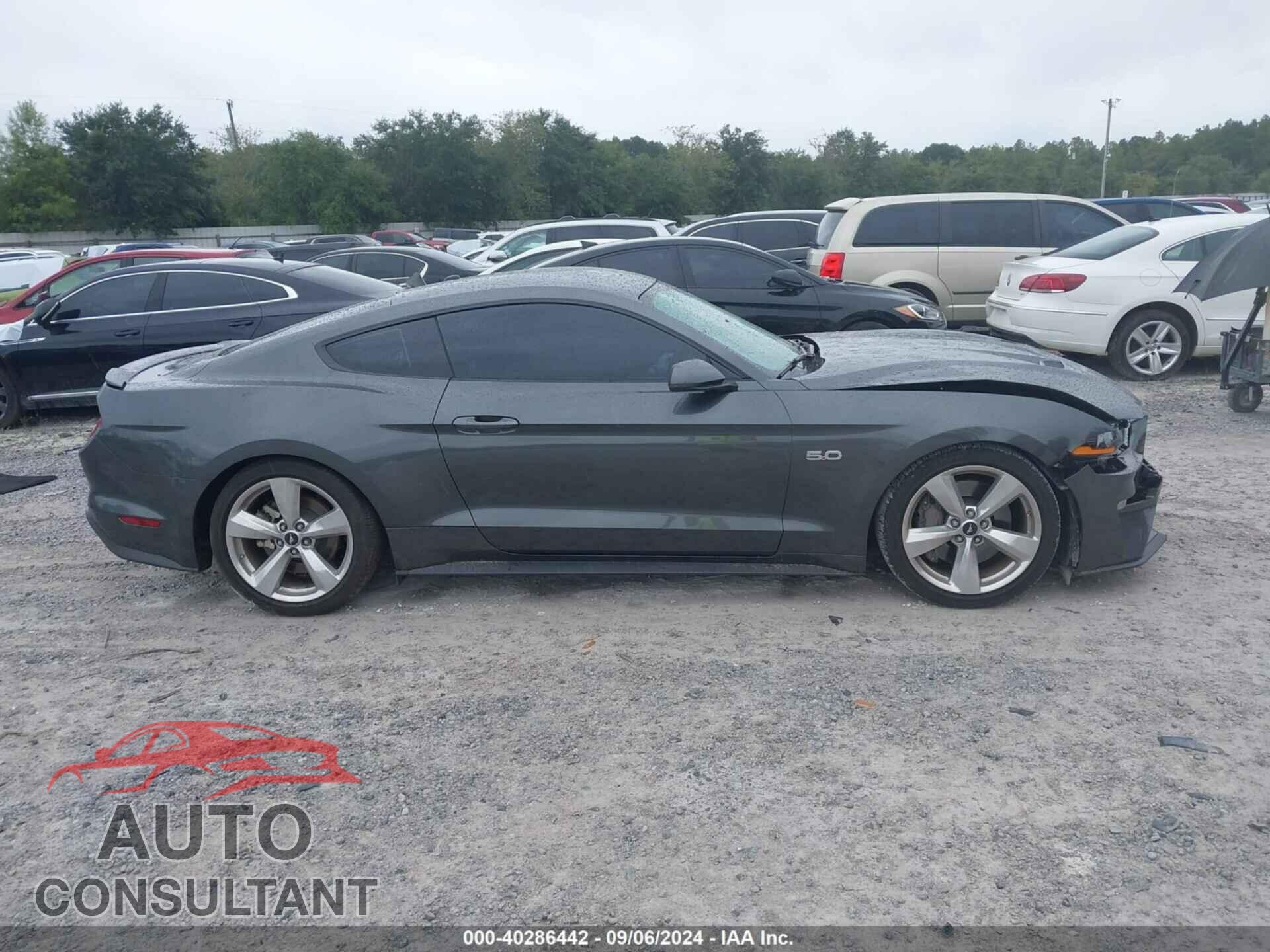 FORD MUSTANG 2019 - 1FA6P8CF8K5163608