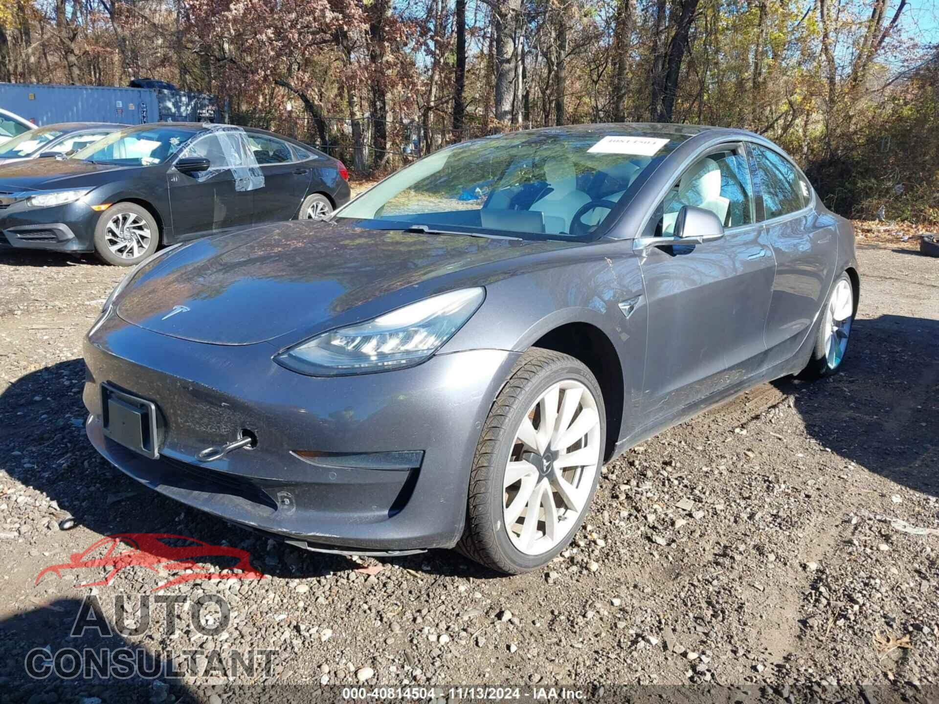 TESLA MODEL 3 2019 - 5YJ3E1EB3KF195725