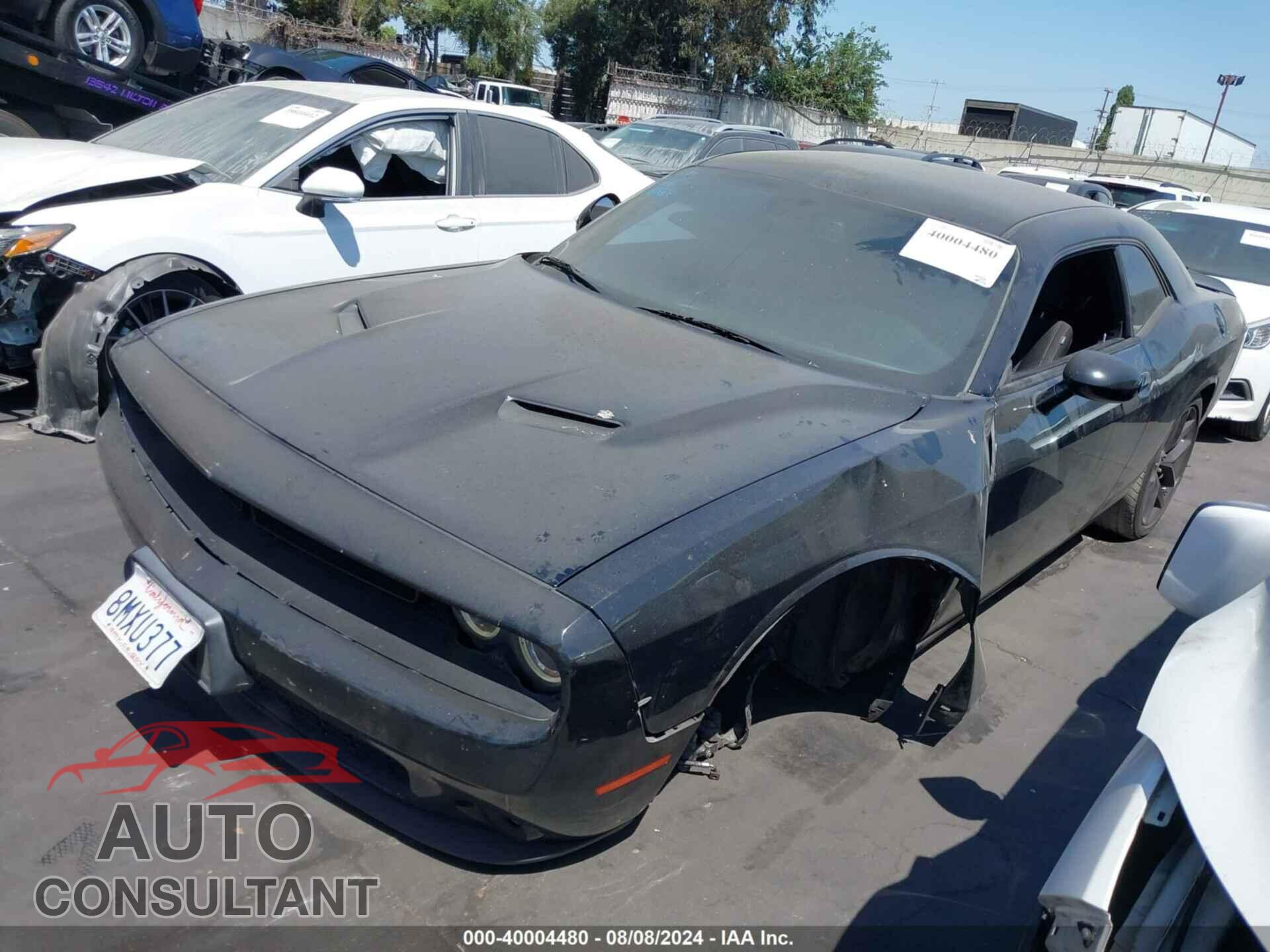 DODGE CHALLENGER 2019 - 2C3CDZAG5KH684449