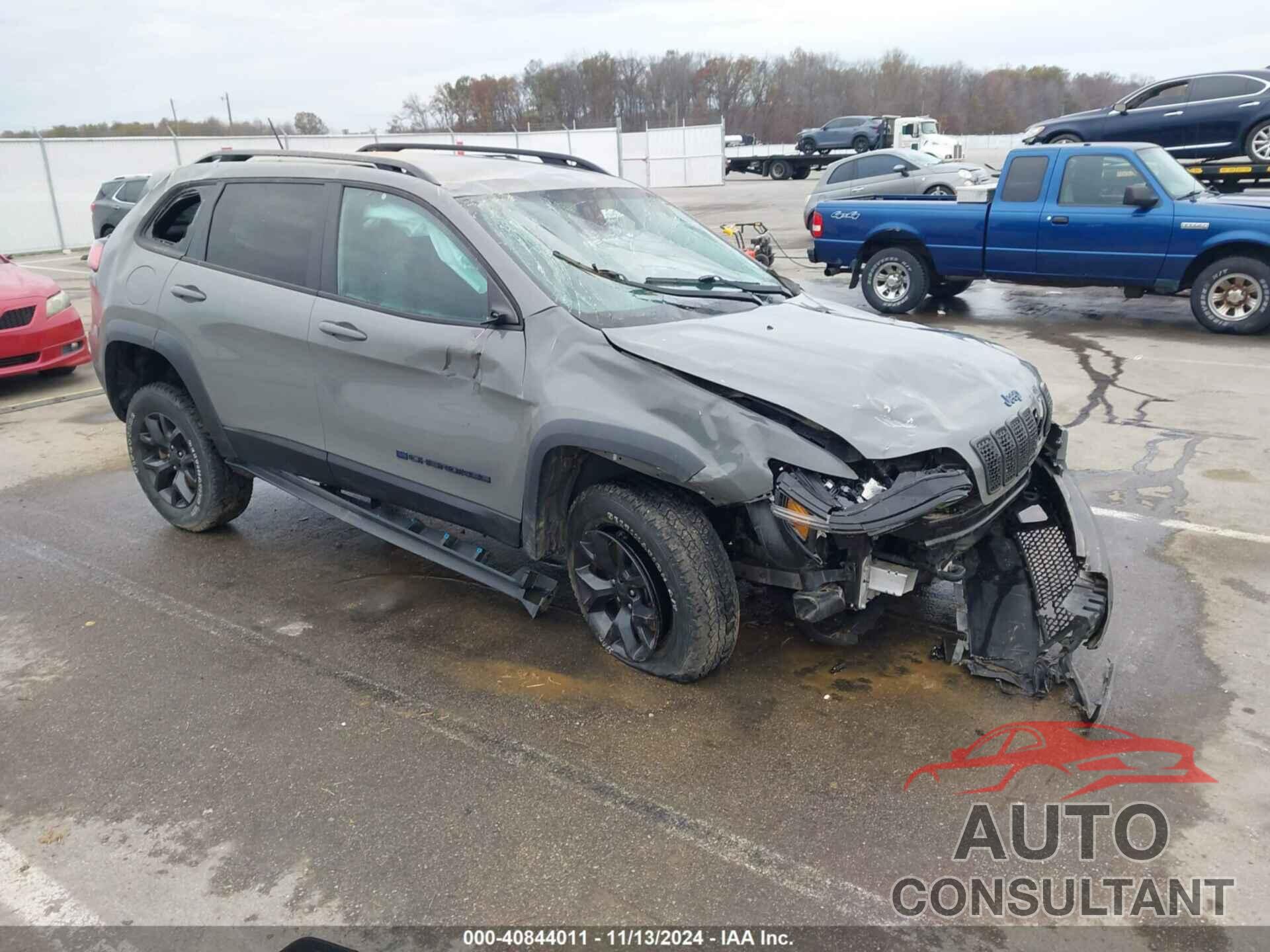 JEEP CHEROKEE 2019 - 1C4PJMCX1KD481061