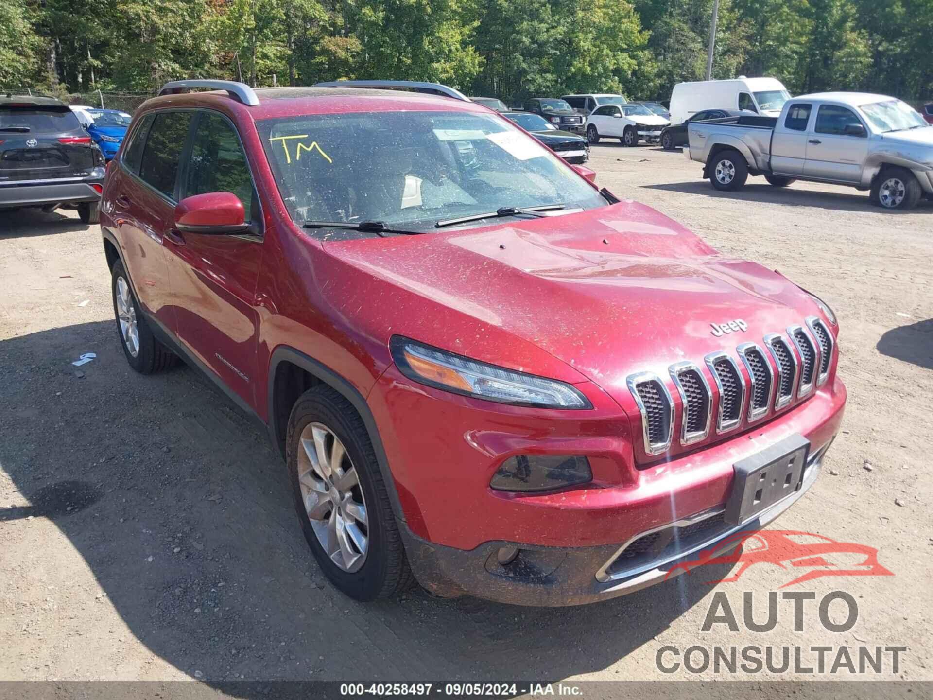 JEEP CHEROKEE 2017 - 1C4PJMDS9HW632101