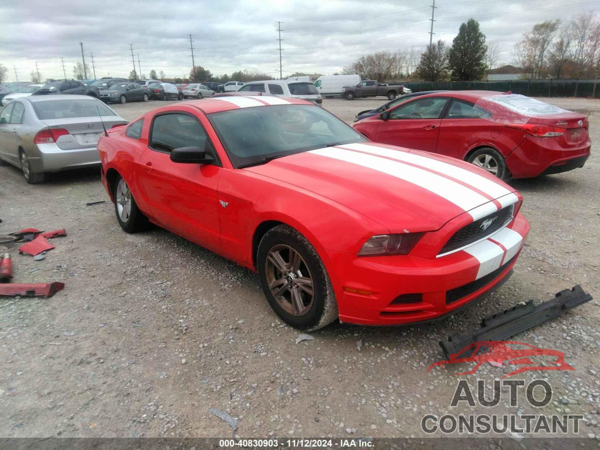 FORD MUSTANG 2014 - 1ZVBP8AM1E5261309