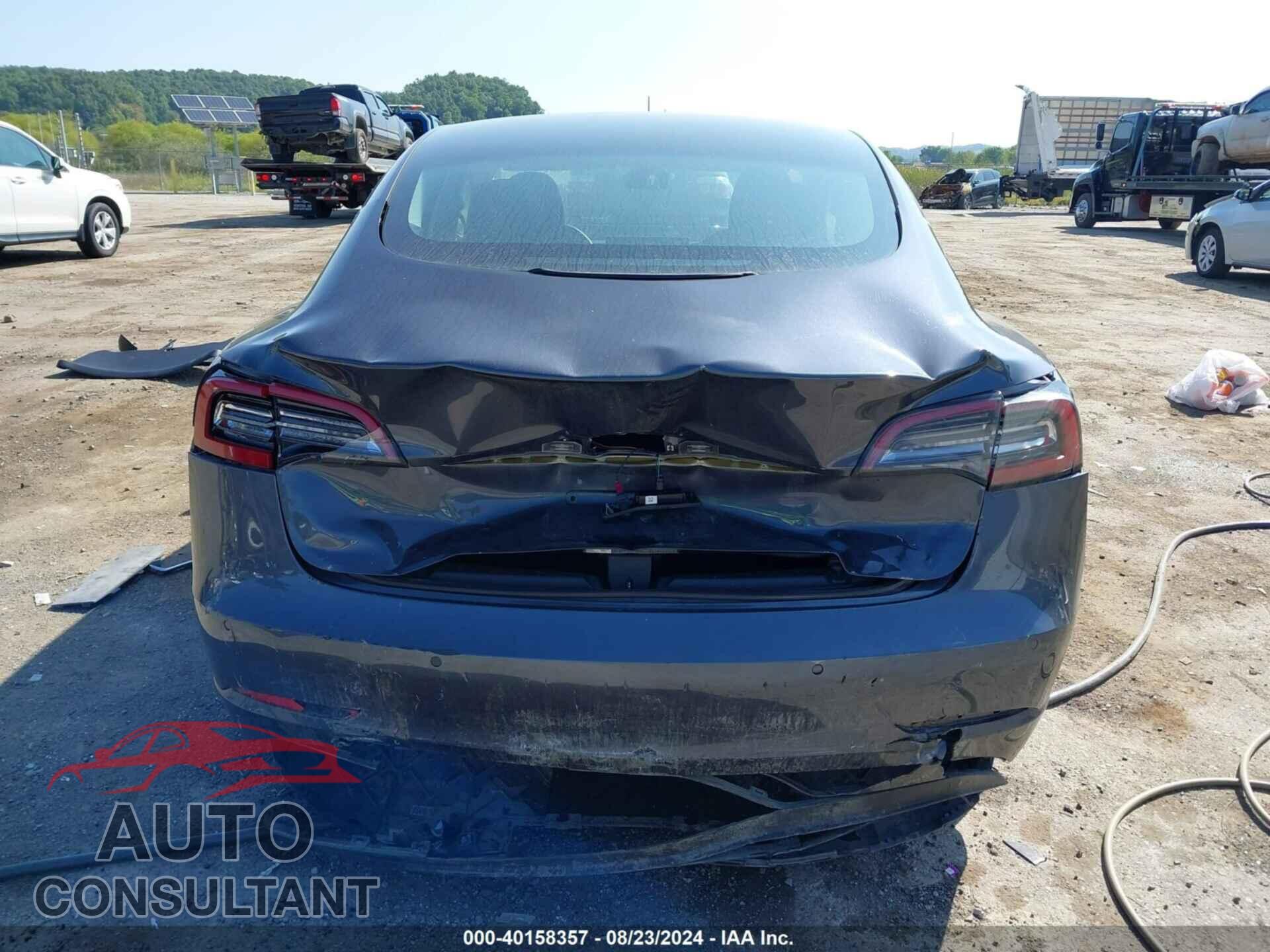TESLA MODEL 3 2021 - 5YJ3E1EA3MF973399