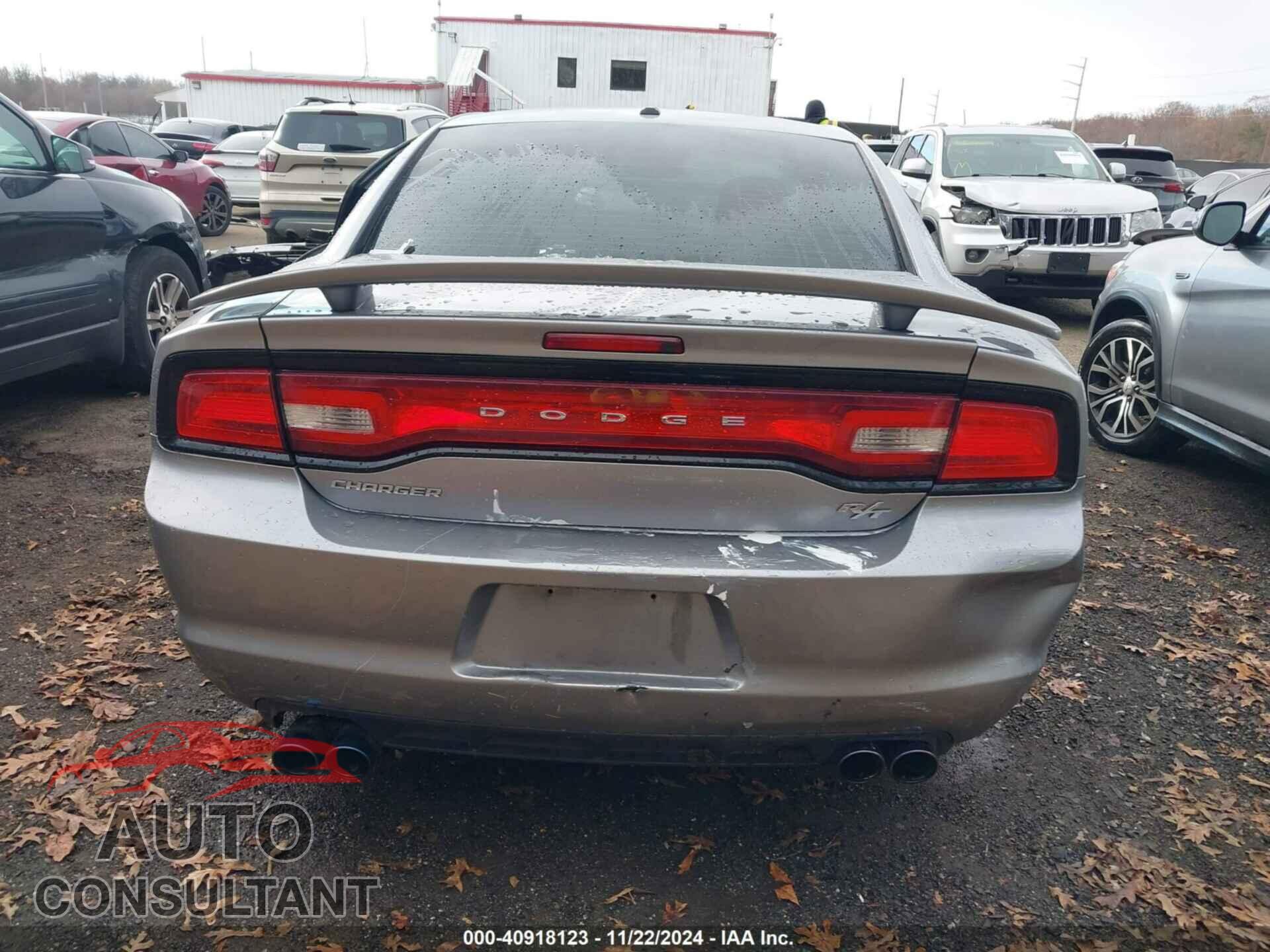 DODGE CHARGER 2013 - 2C3CDXCT7DH597945