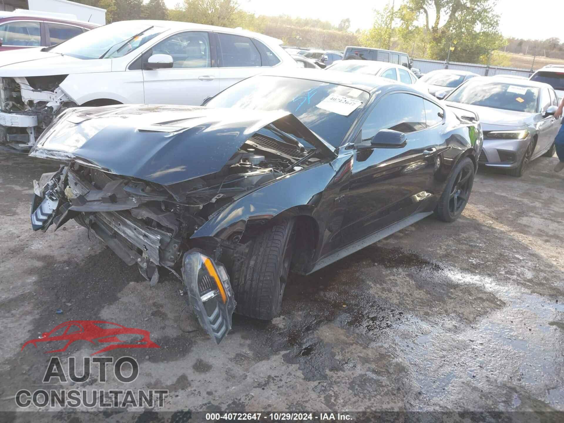 FORD MUSTANG 2019 - 1FA6P8CF0K5122857