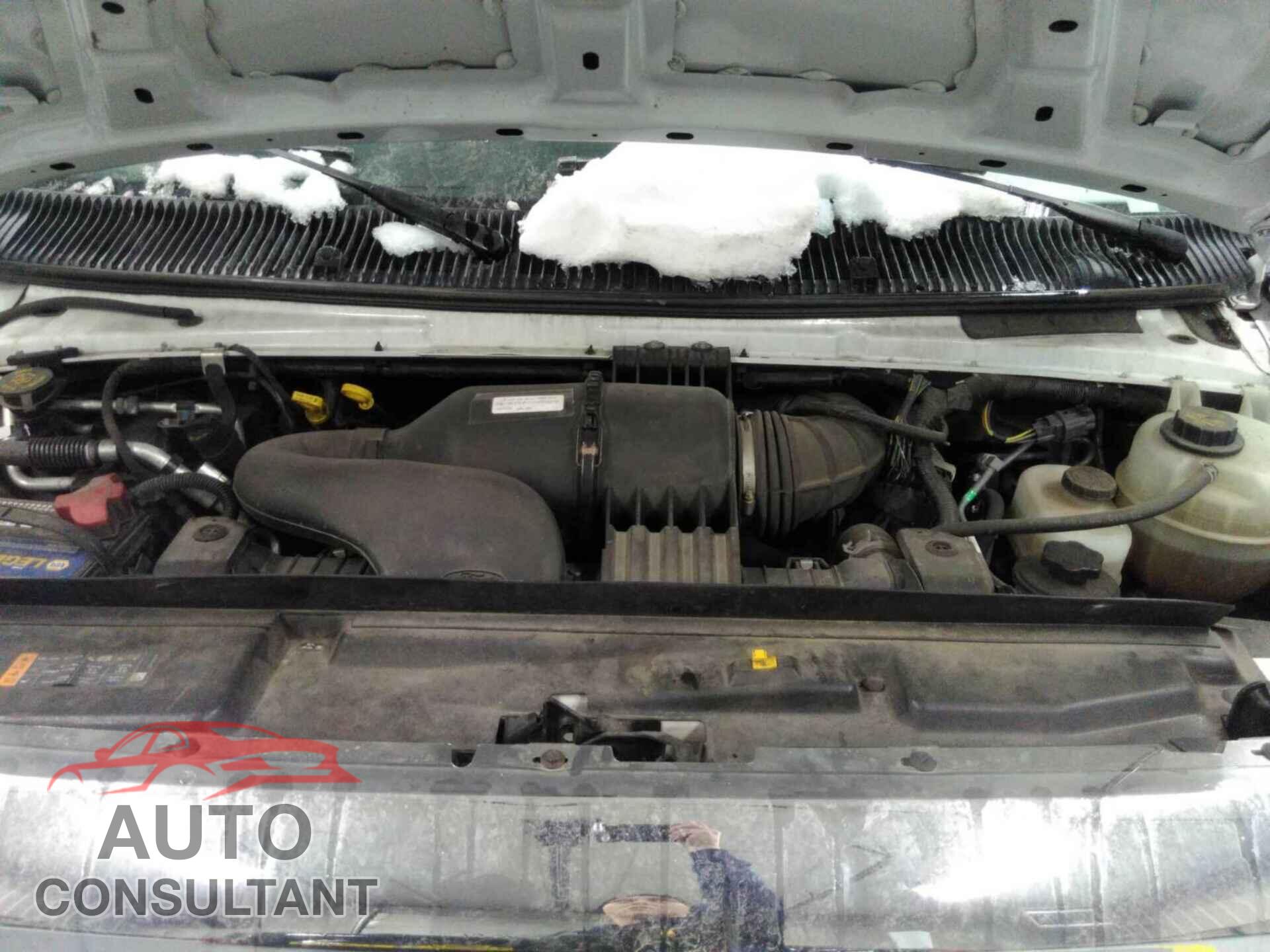 FORD E-350 CUTAWAY 2019 - 1FDWE3F65KDC53458