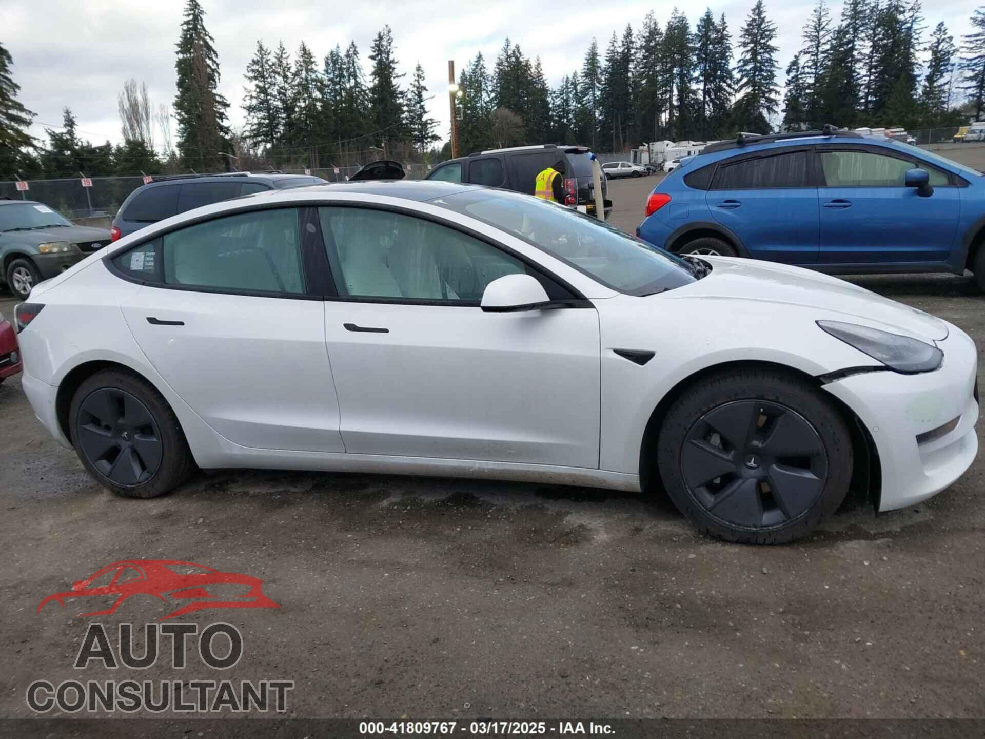 TESLA MODEL 3 2021 - 5YJ3E1EB3MF856009