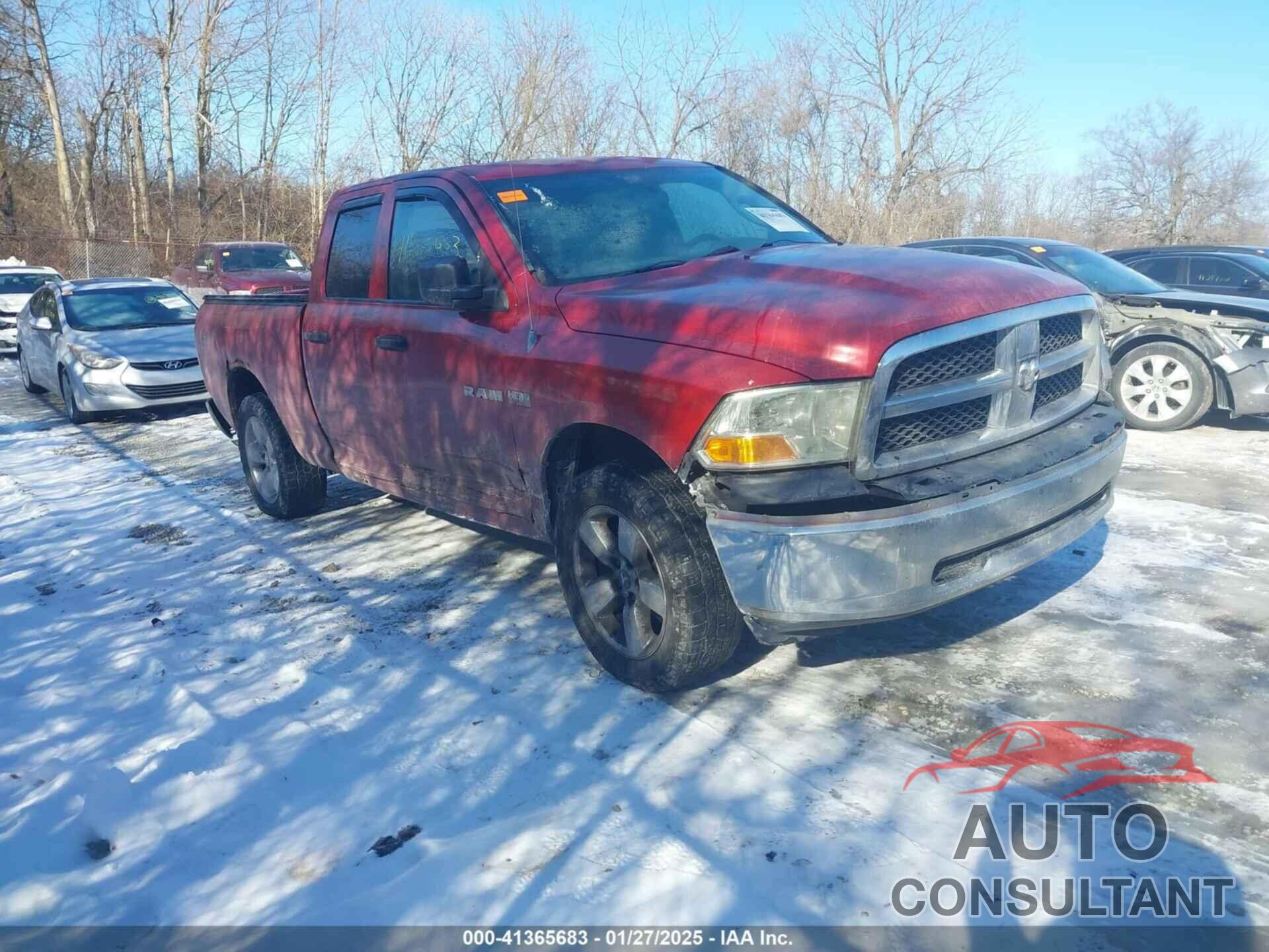 DODGE RAM 1500 2010 - 1D7RV1GTXAS218554