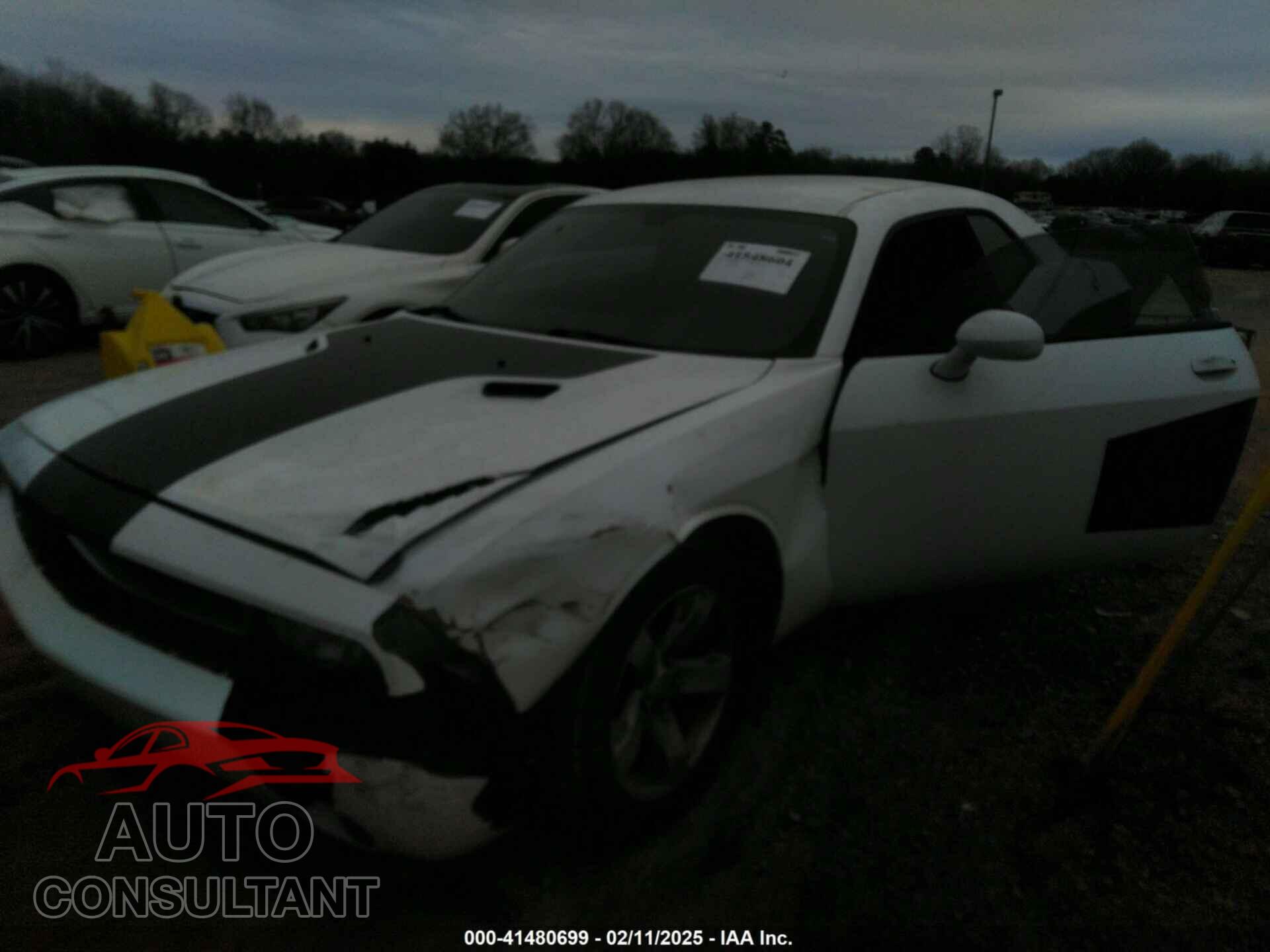 DODGE CHALLENGER 2013 - 2C3CDYAG0DH648813