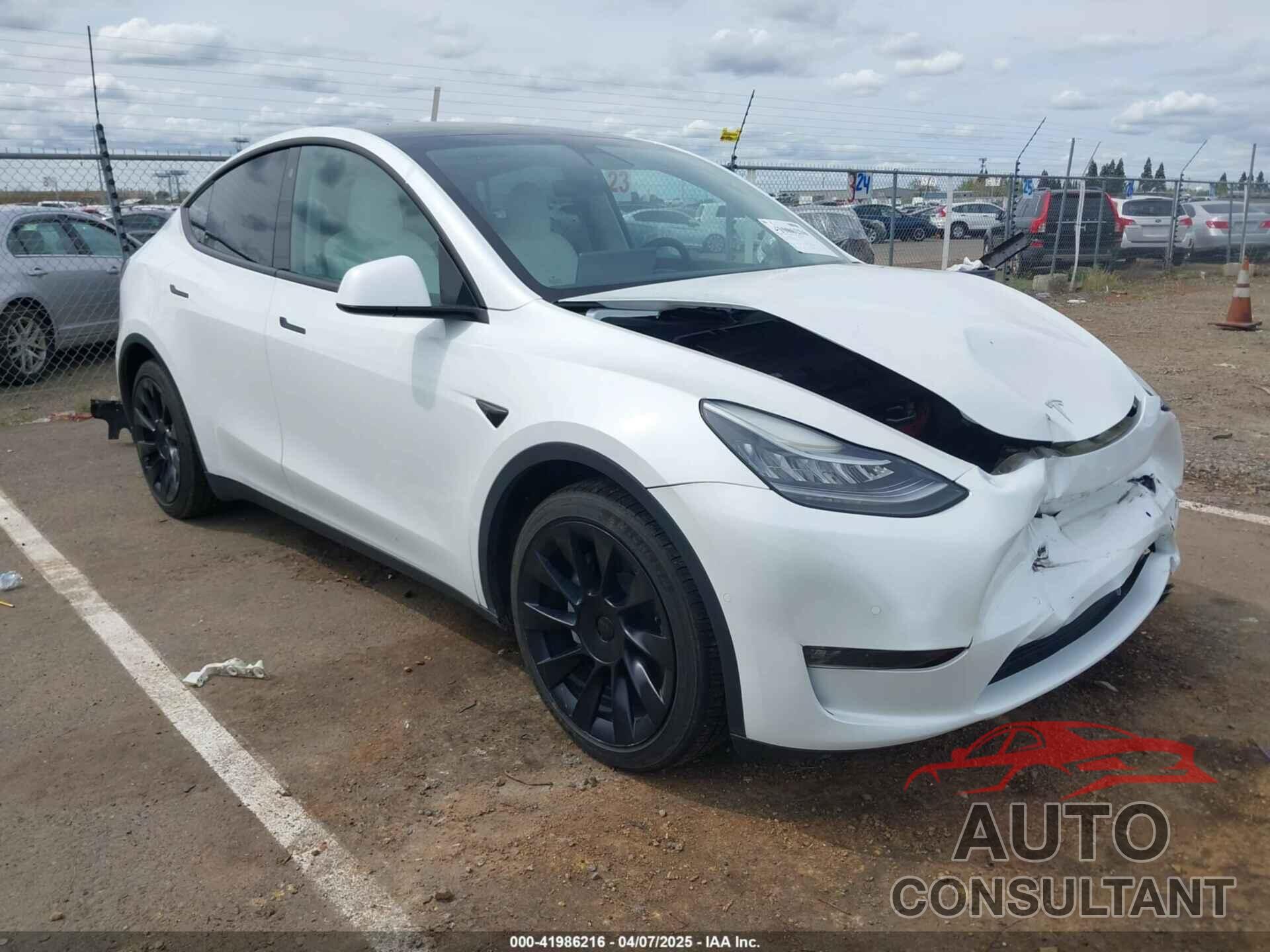 TESLA MODEL Y 2022 - 7SAYGDEE2NF403354