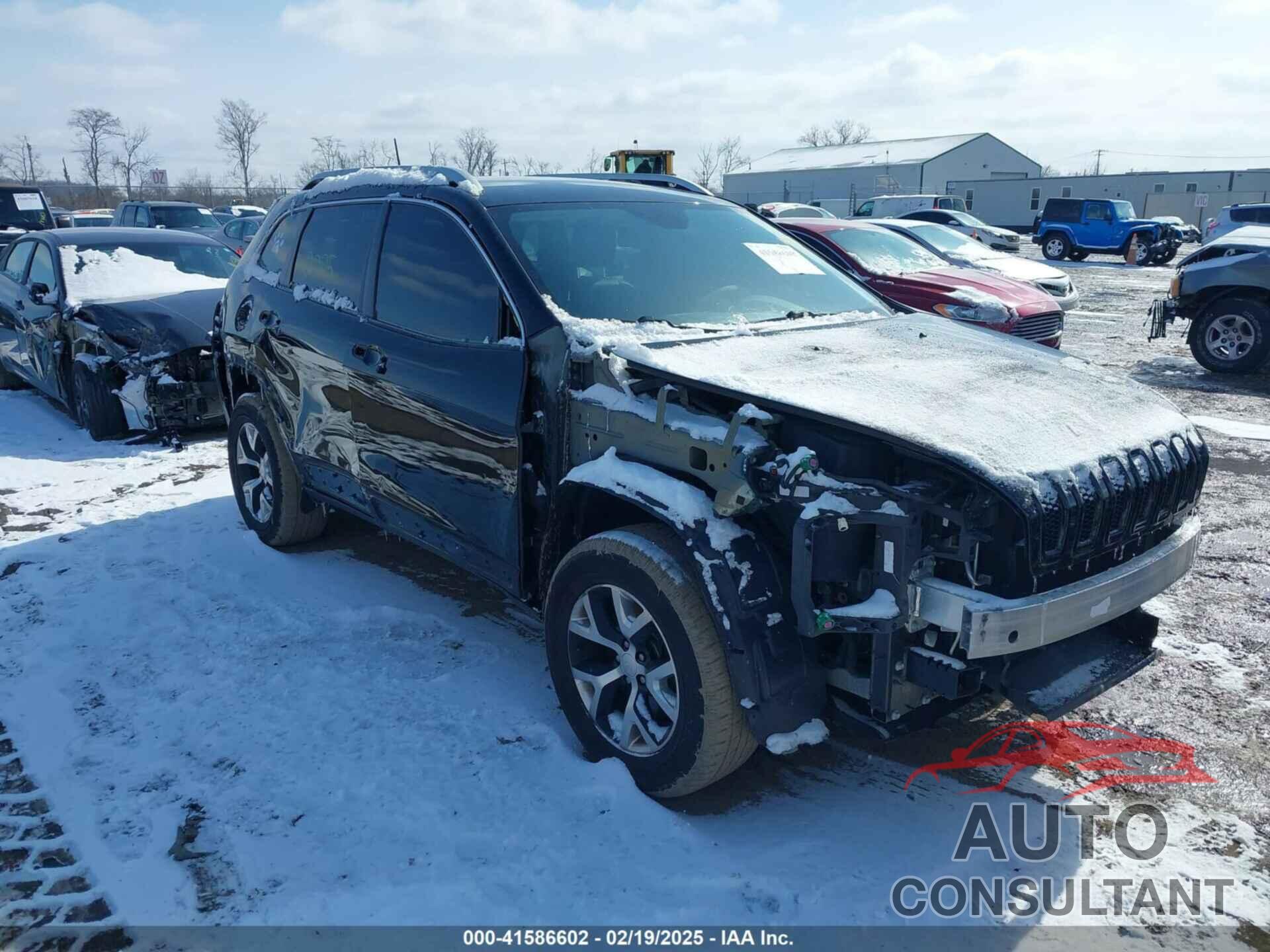 JEEP CHEROKEE 2016 - 1C4PJMDBXGW348457