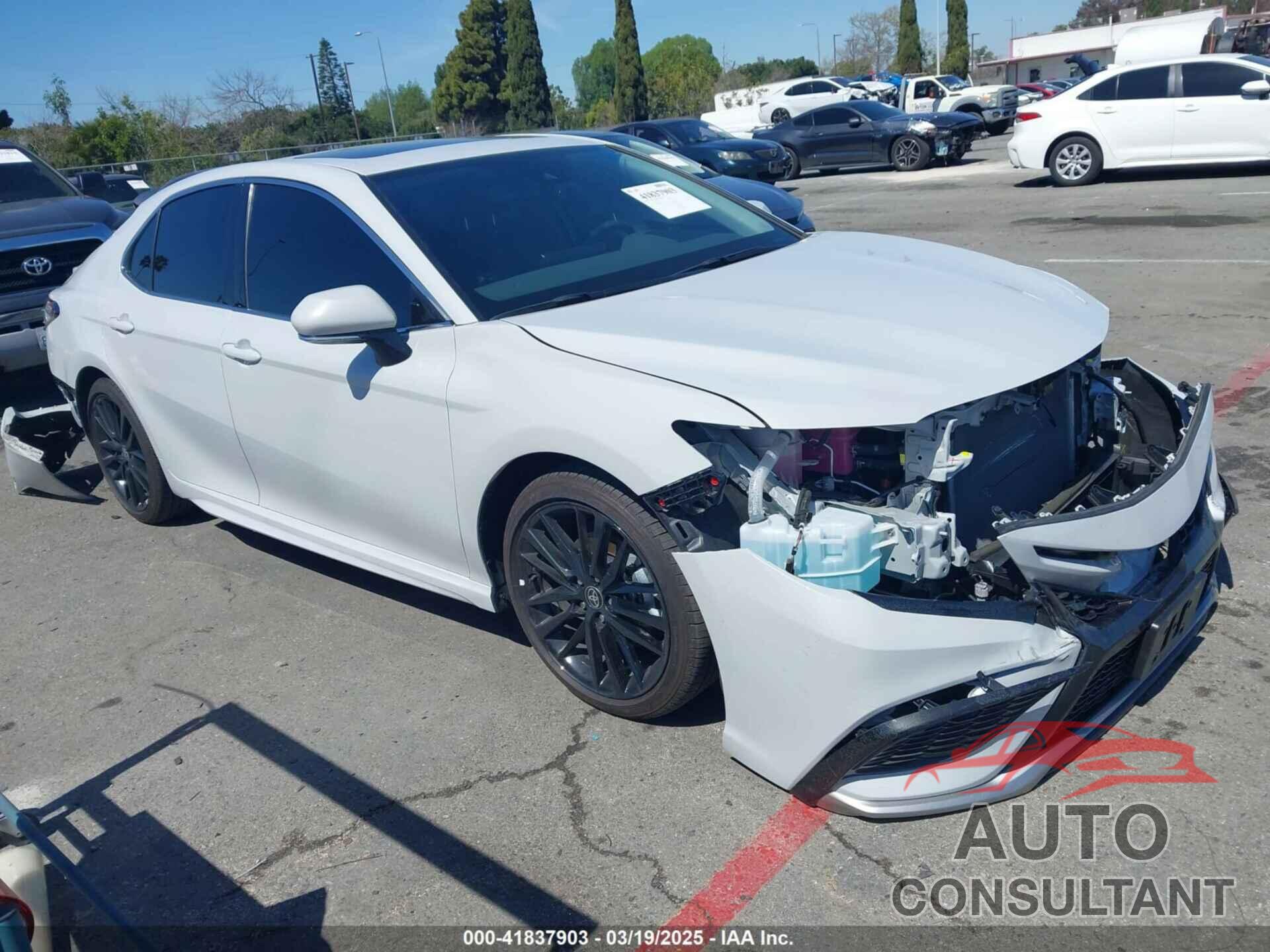TOYOTA CAMRY HYBRID 2024 - 4T1K31AK9RU075772