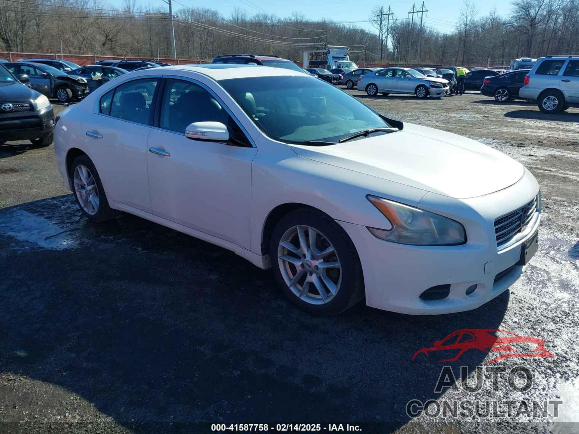 NISSAN MAXIMA 2010 - 1N4AA5AP3AC806950