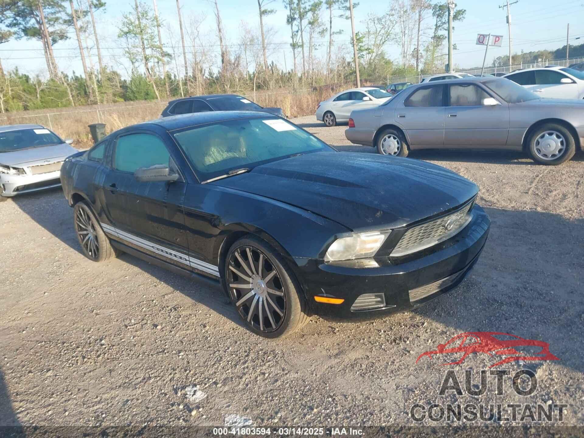 FORD MUSTANG 2011 - 1ZVBP8AM6B5160195
