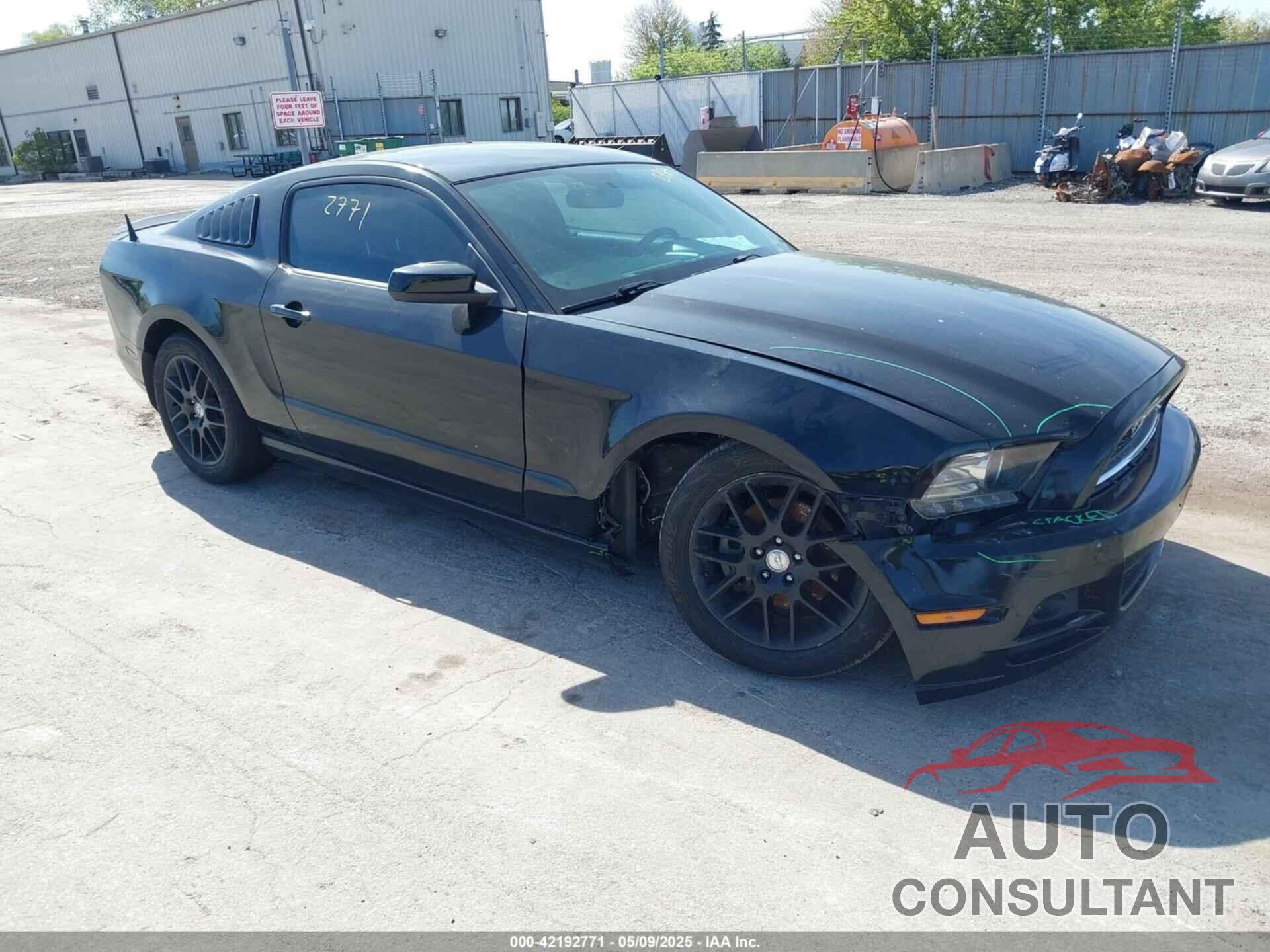 FORD MUSTANG 2014 - 1ZVBP8AMXE5299251