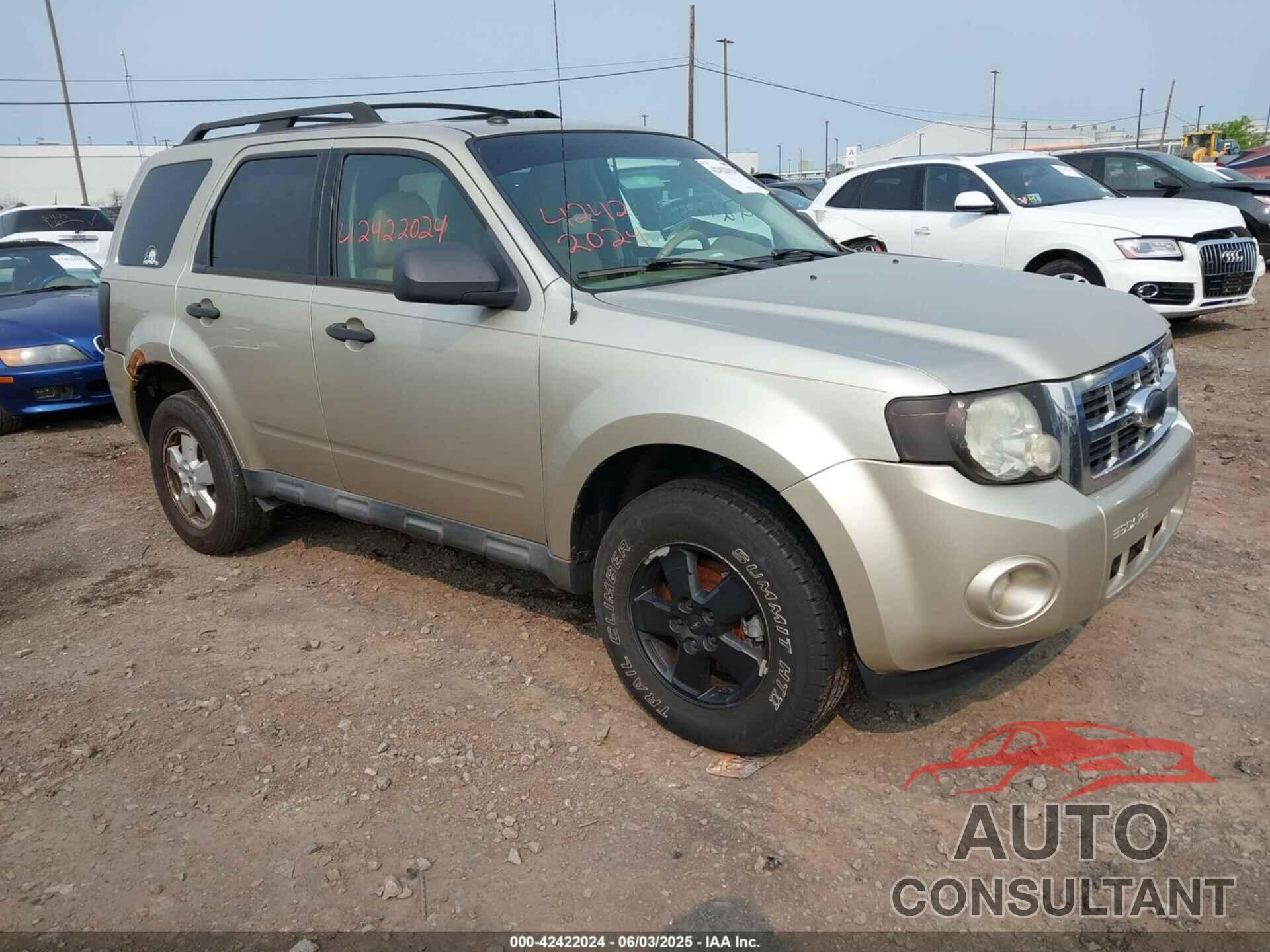 FORD ESCAPE 2010 - 1FMCU9D76AKB77506