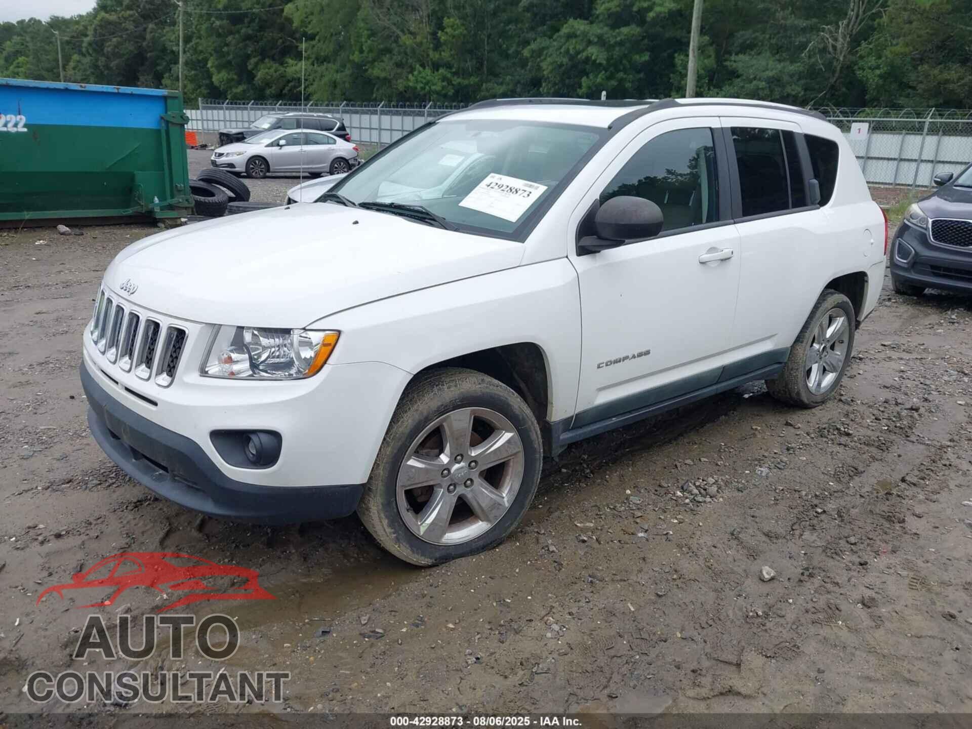 JEEP COMPASS 2011 - 1J4NT5FB5BD230870