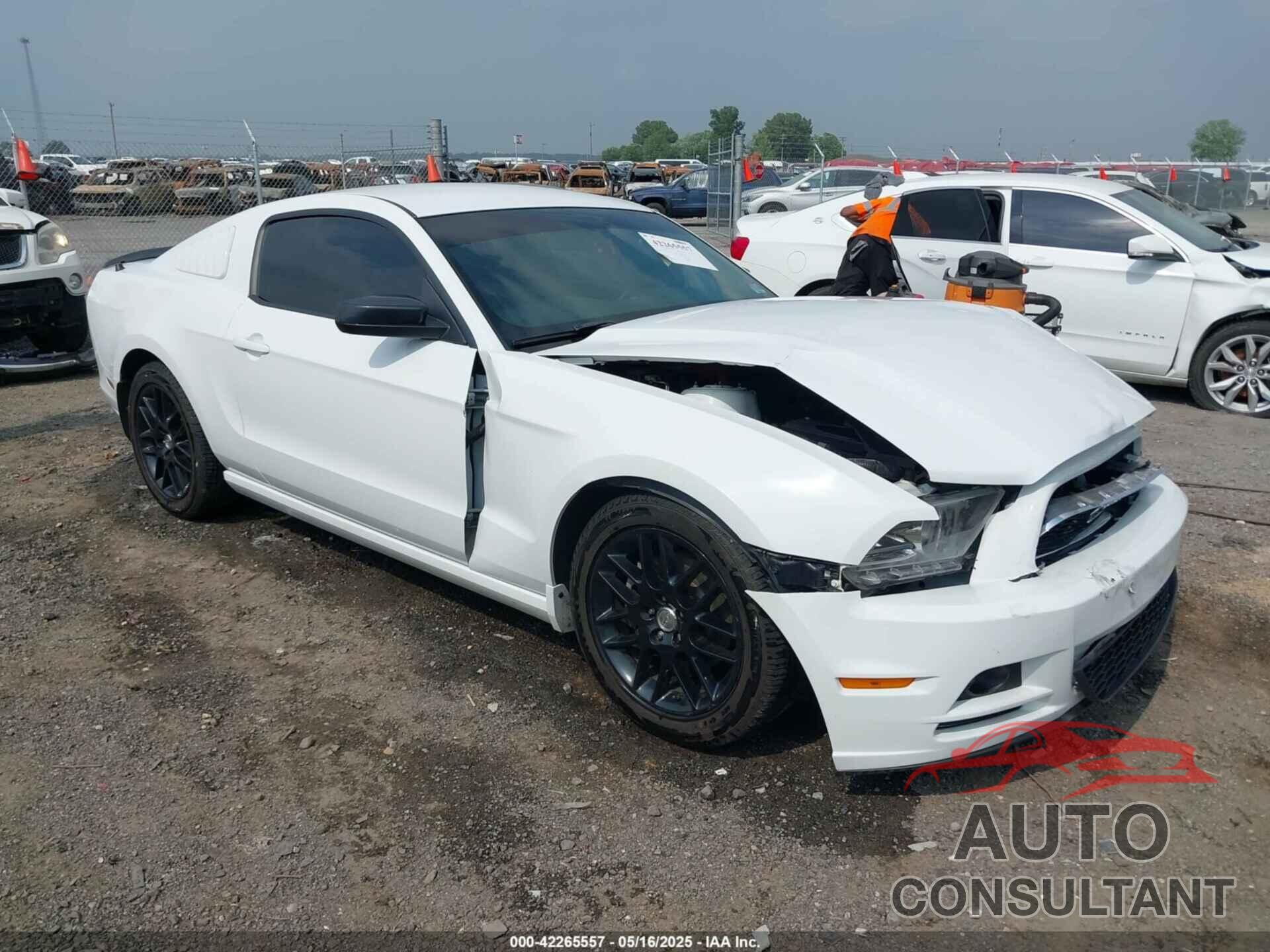 FORD MUSTANG 2014 - 1ZVBP8AM2E5318701
