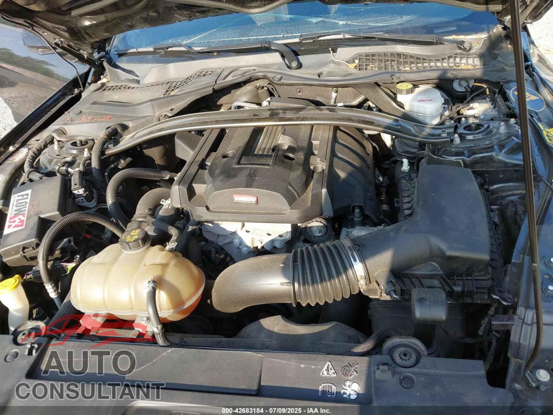 FORD MUSTANG 2019 - 1FA6P8TH8K5133624