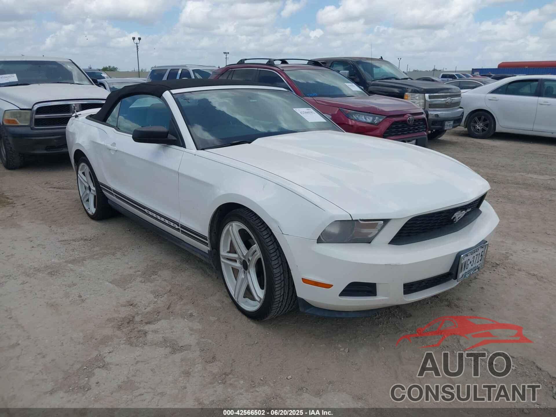 FORD MUSTANG 2010 - 1ZVBP8EN8A5167814