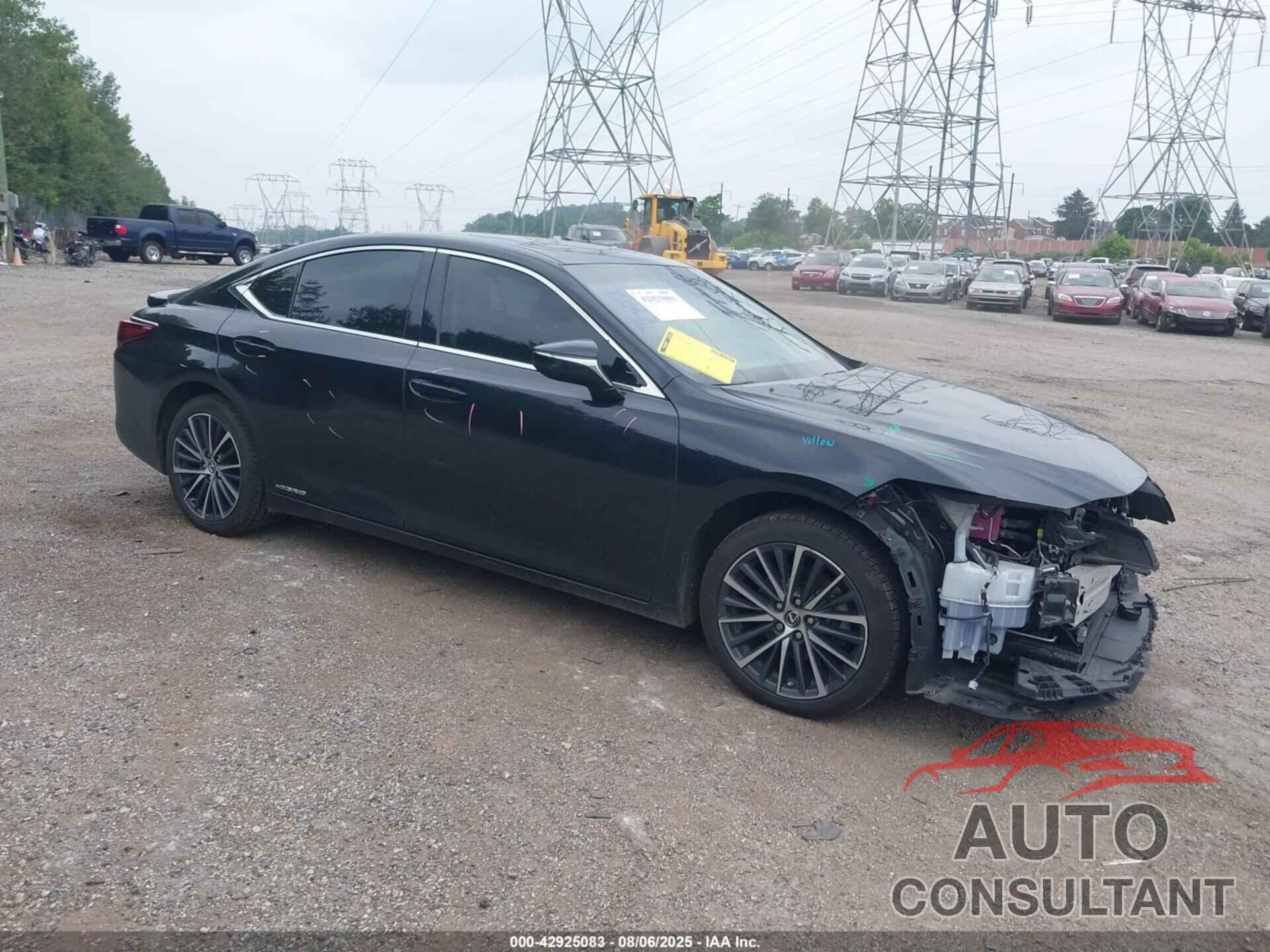 LEXUS ES 300H 2022 - 58ADA1C17NU019500
