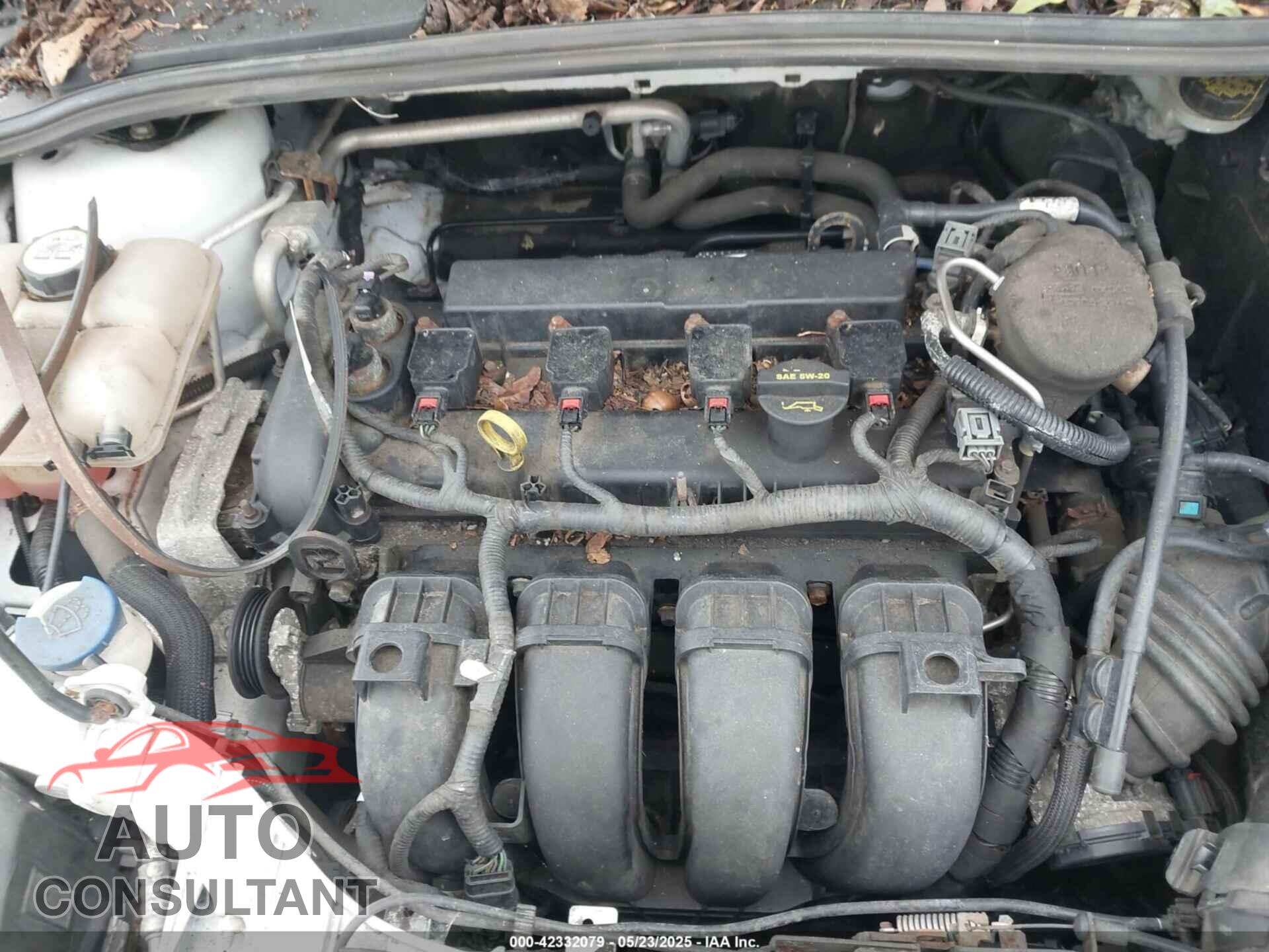 FORD FOCUS 2013 - 1FADP3F20DL302583