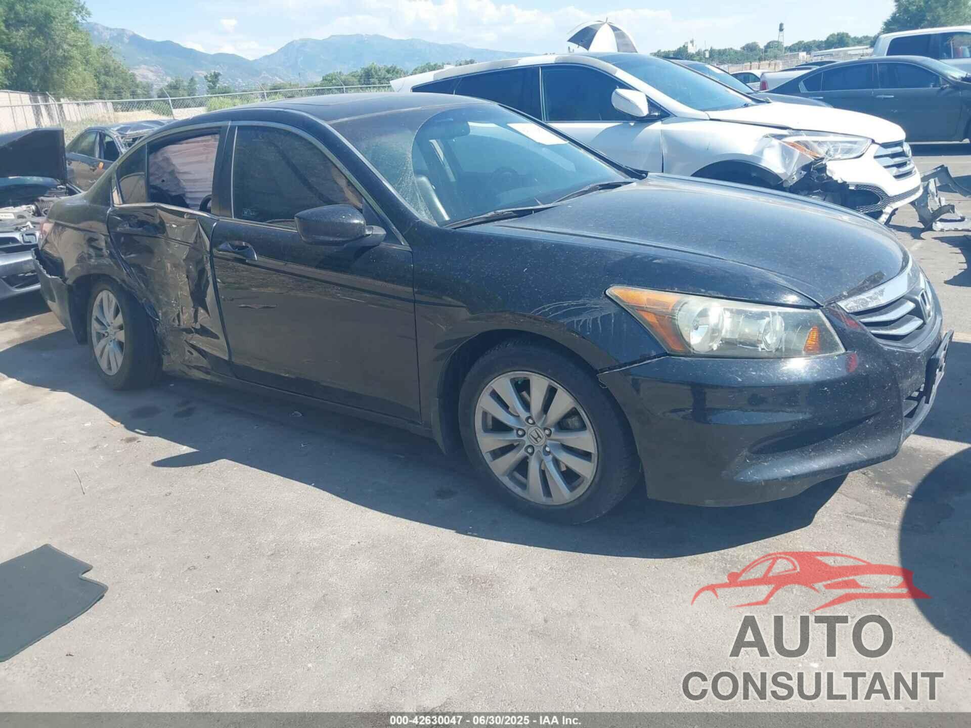 HONDA ACCORD 2011 - 1HGCP2F85BA116665